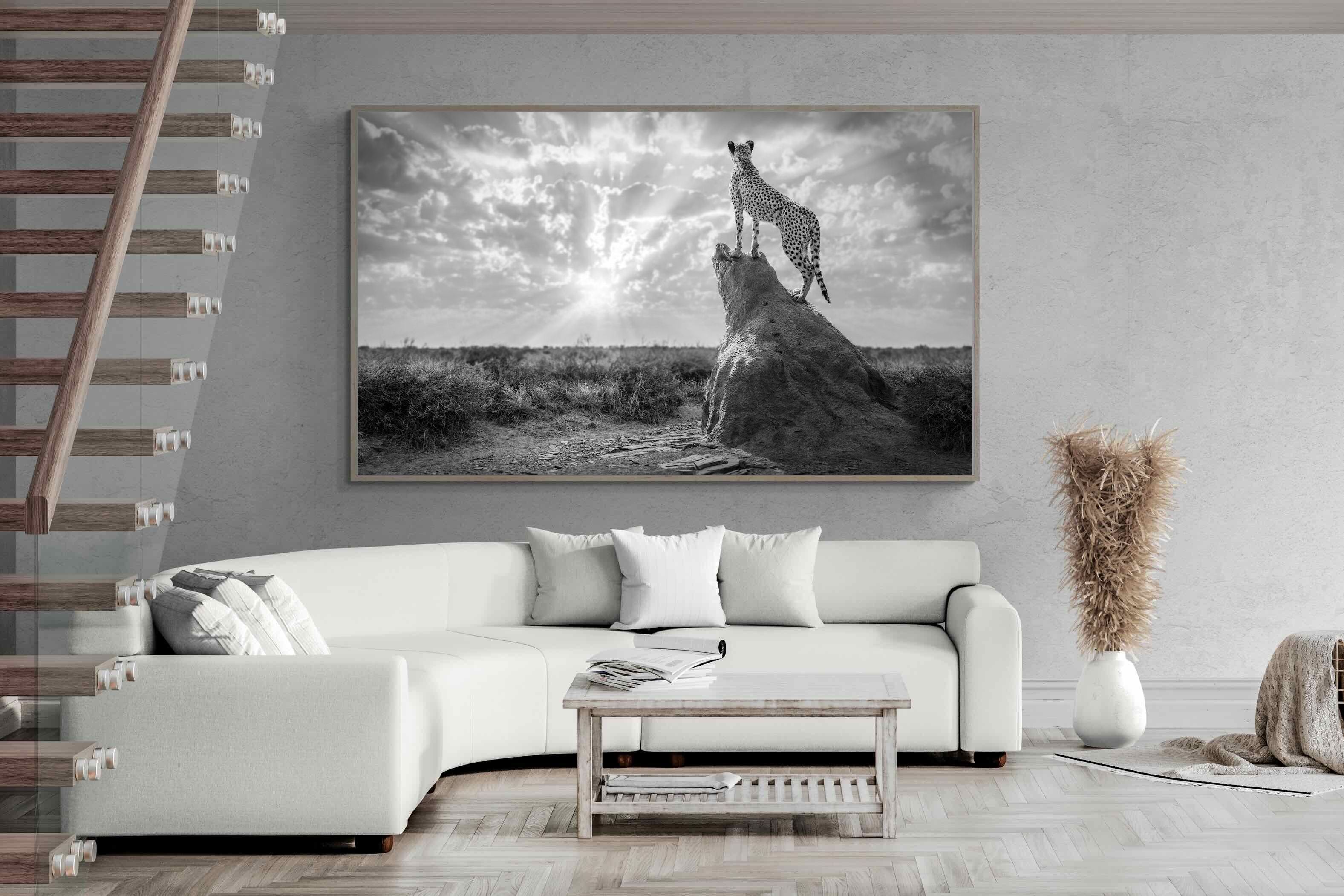 Pixalot King of the Savannah