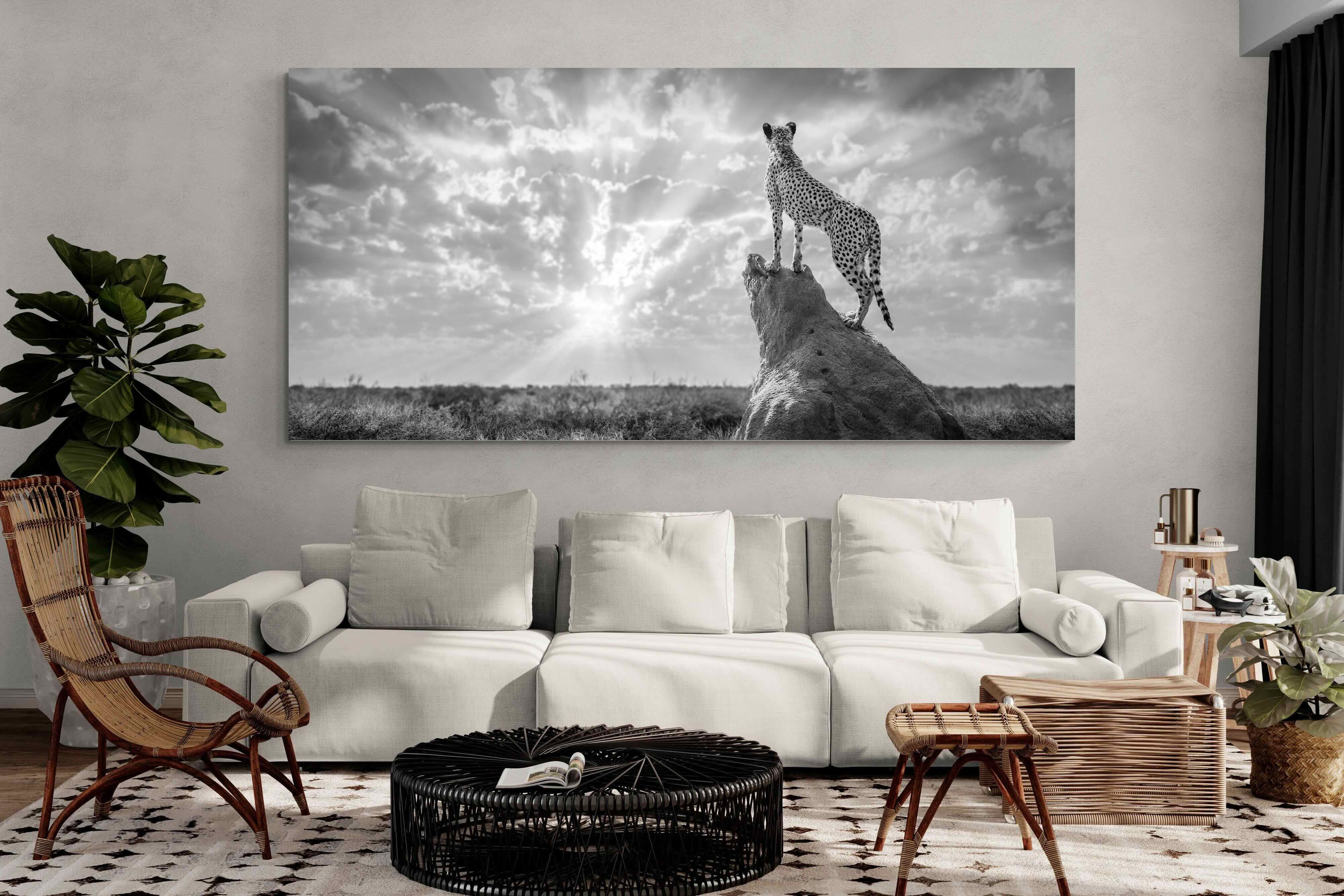 Pixalot King of the Savannah