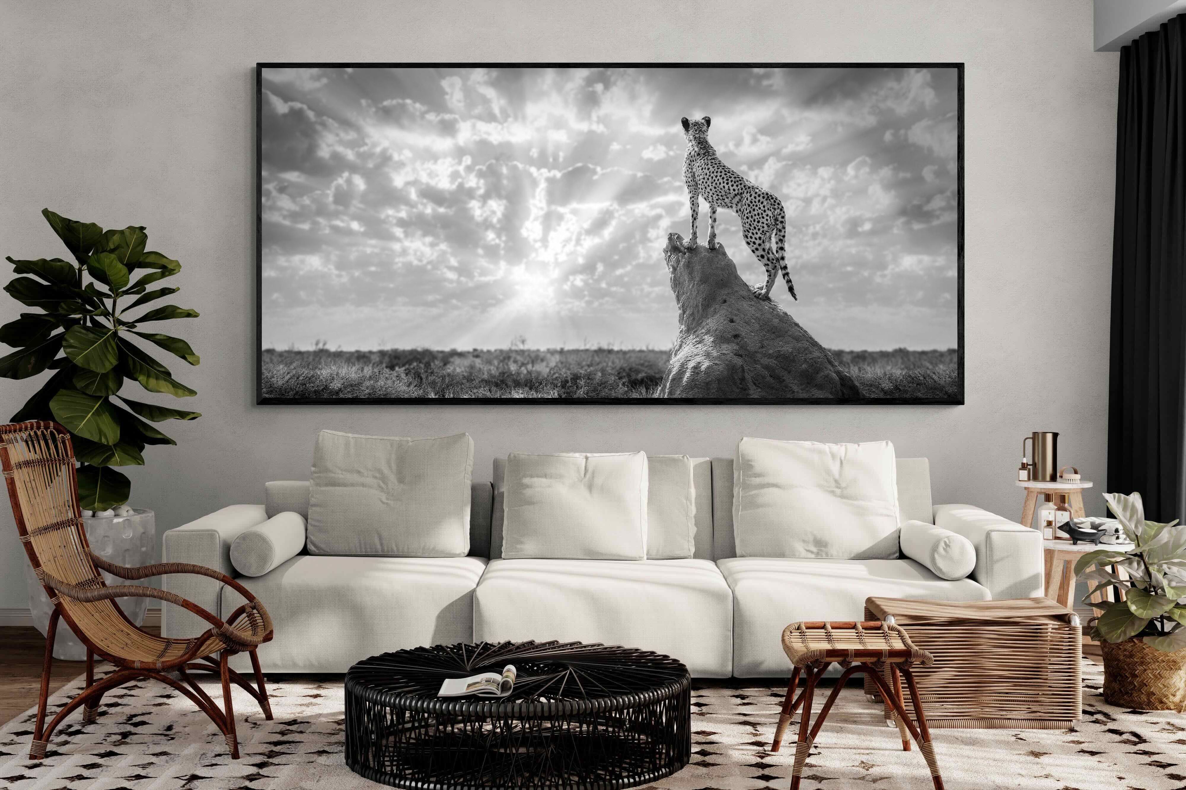 Pixalot King of the Savannah