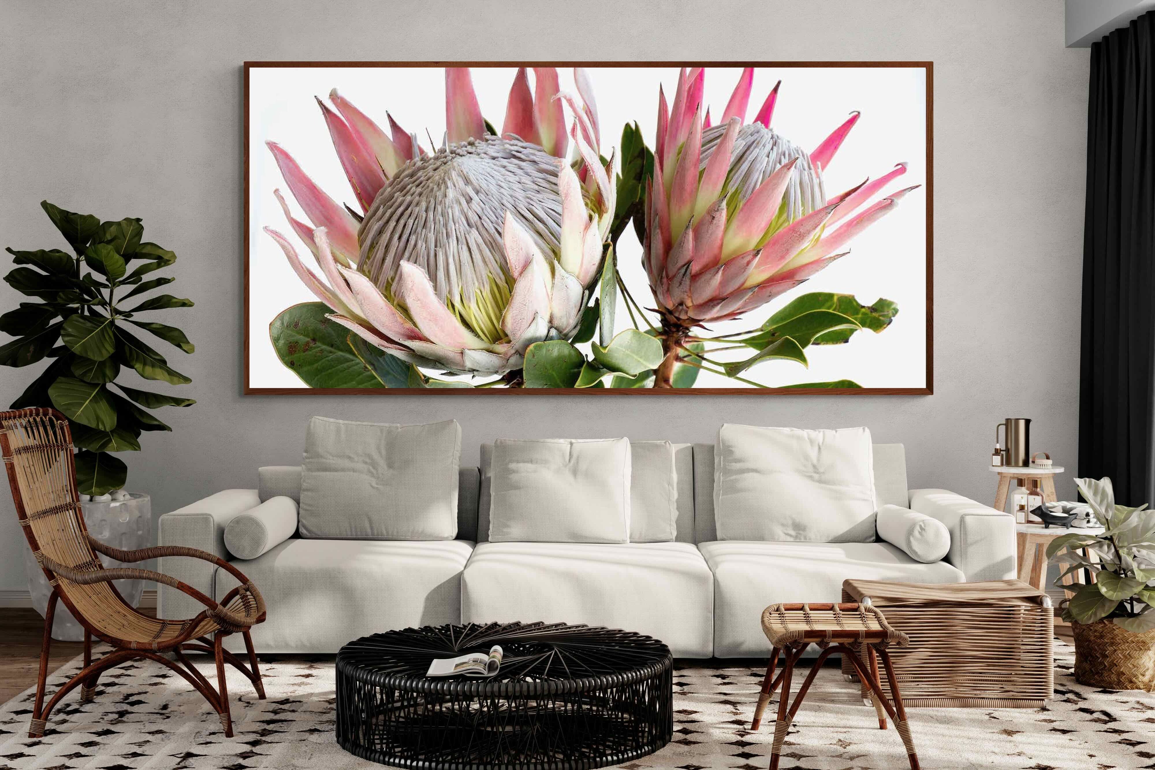 Pixalot ® King Proteas