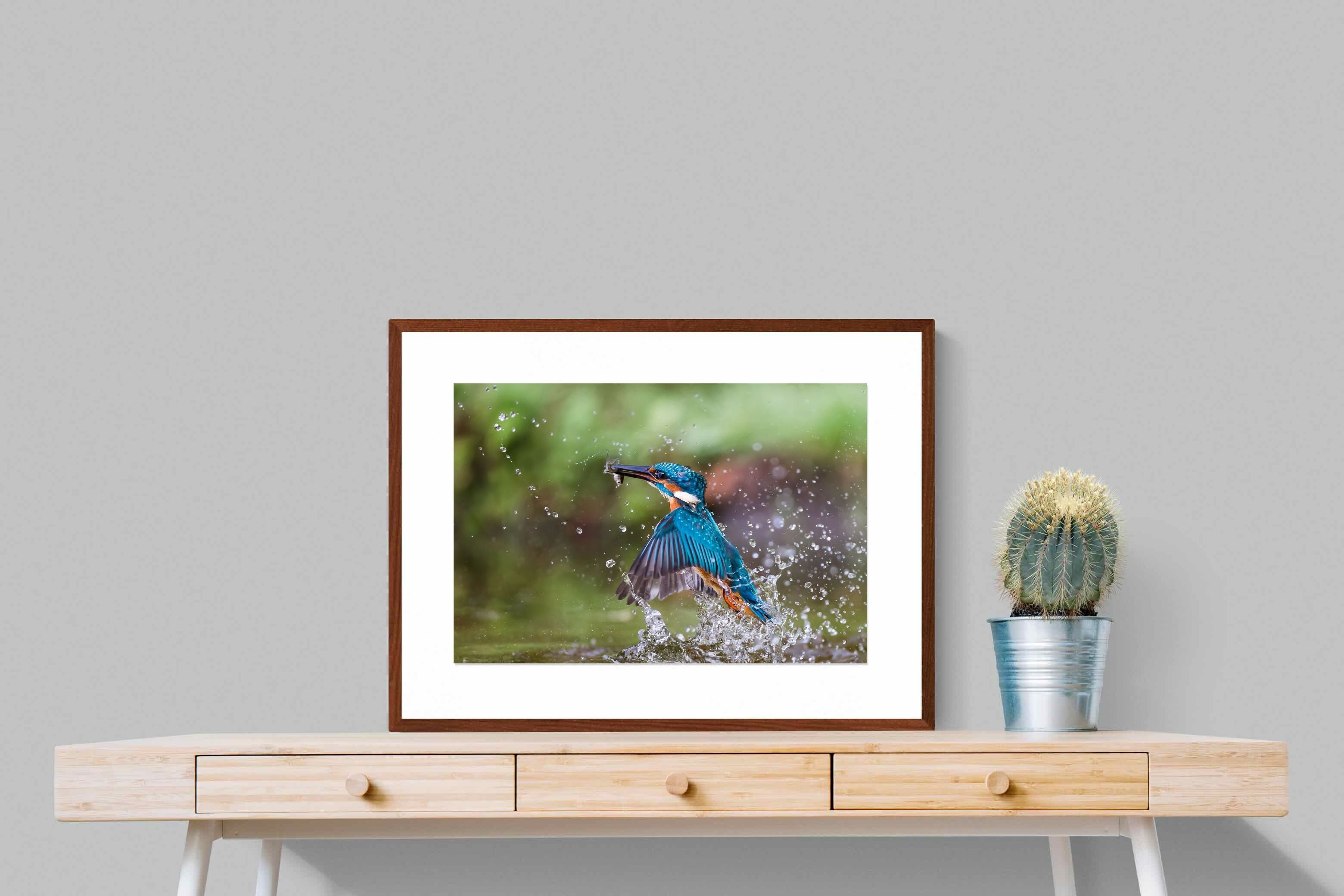Pixalot ® Kingfisher Catch