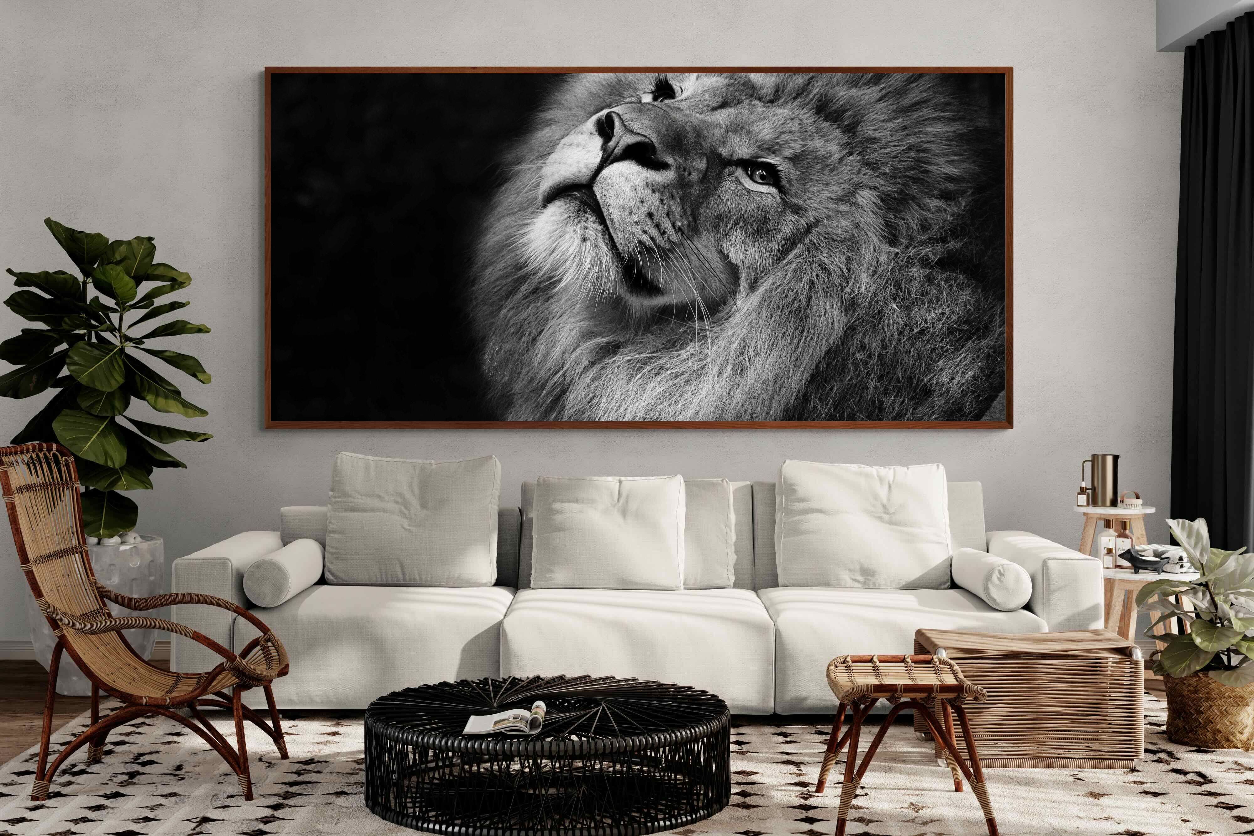 Pixalot ® King's Gaze