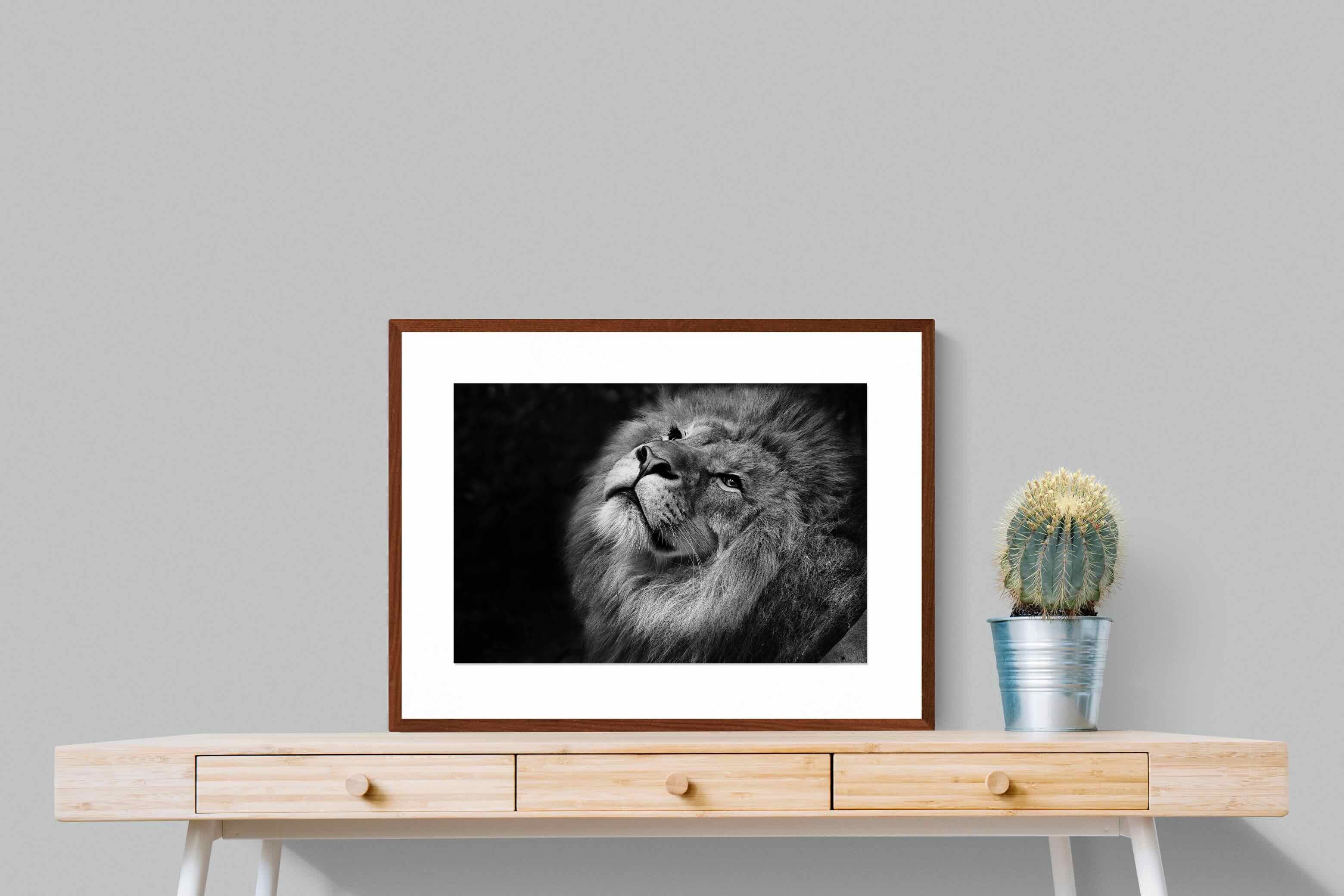Pixalot ® King's Gaze