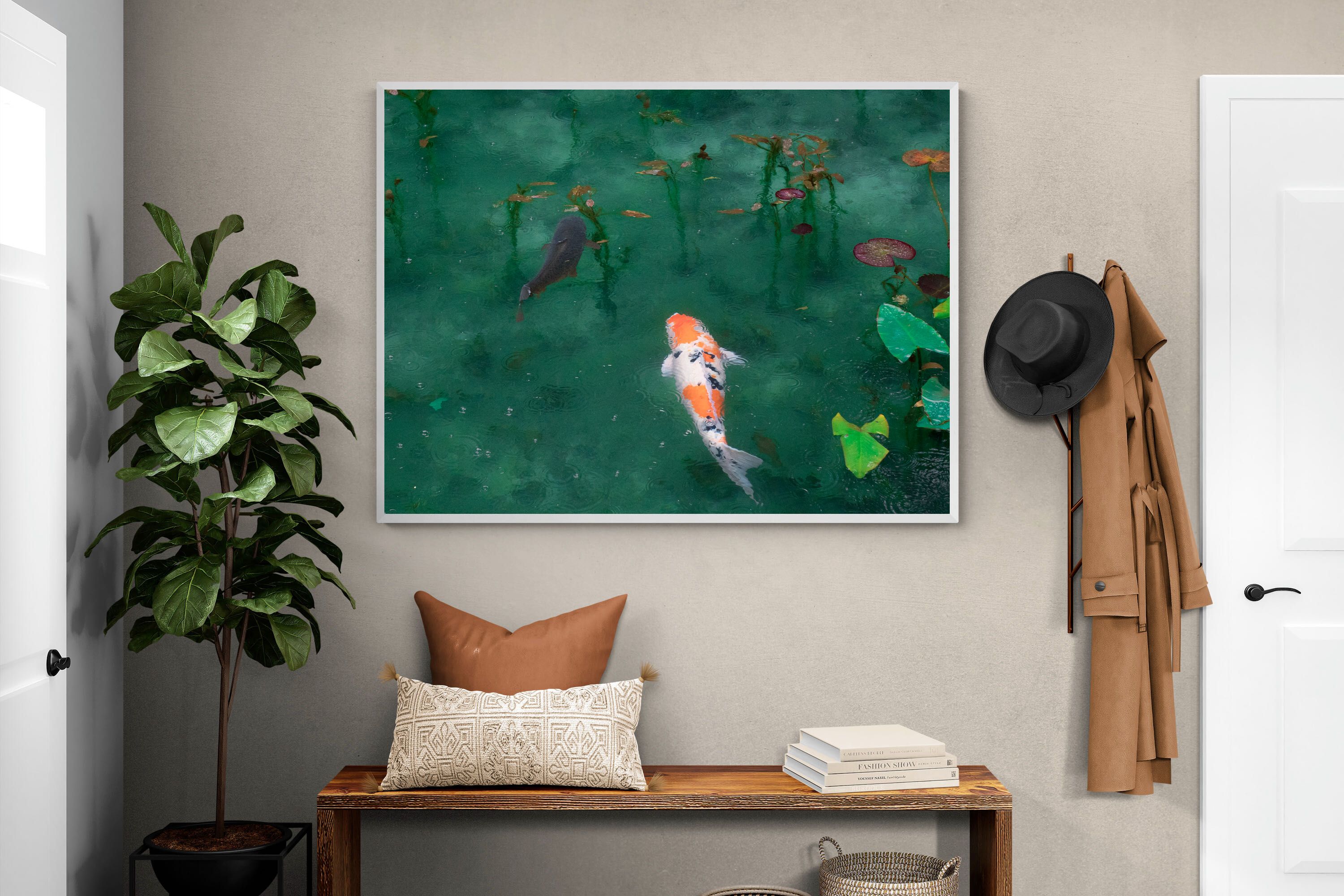 Pixalot Koi Pond