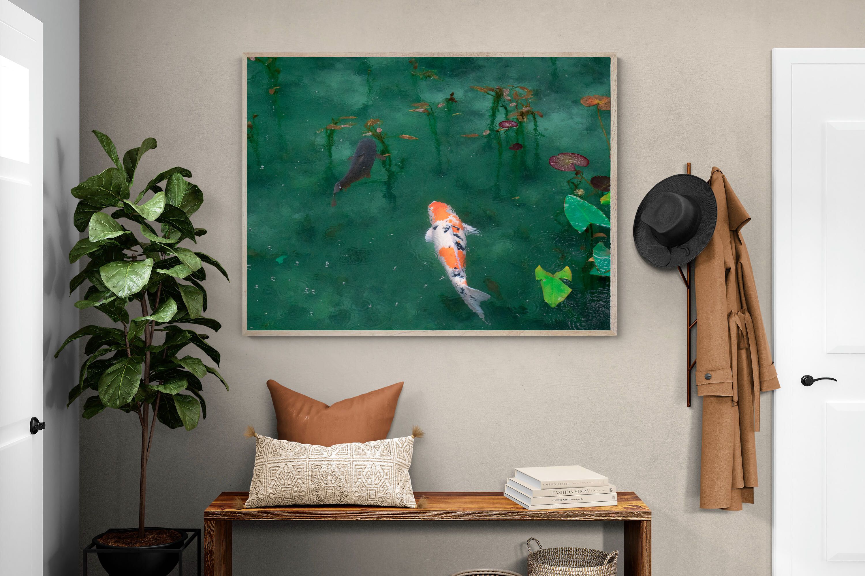 Pixalot Koi Pond