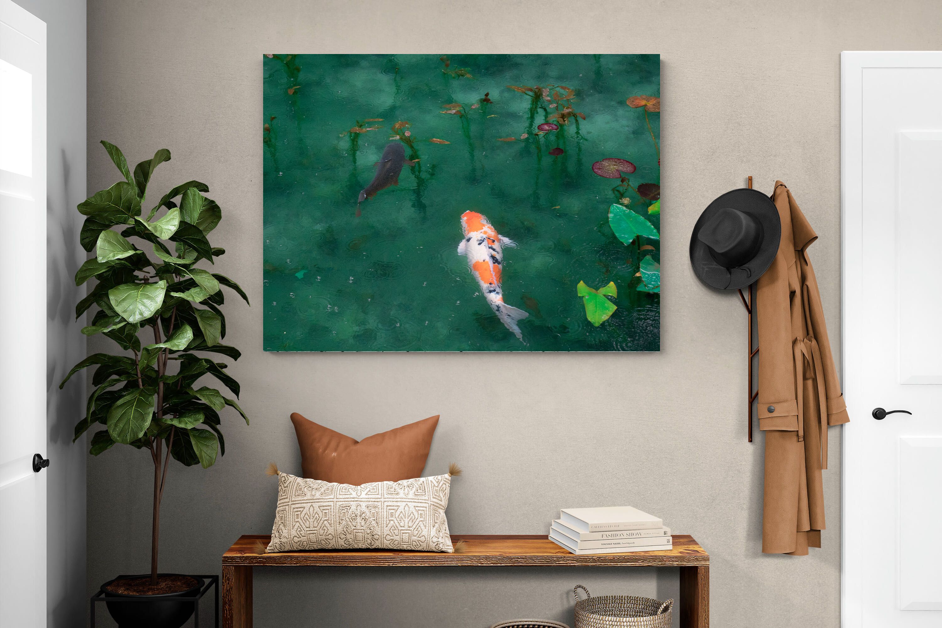 Pixalot Koi Pond