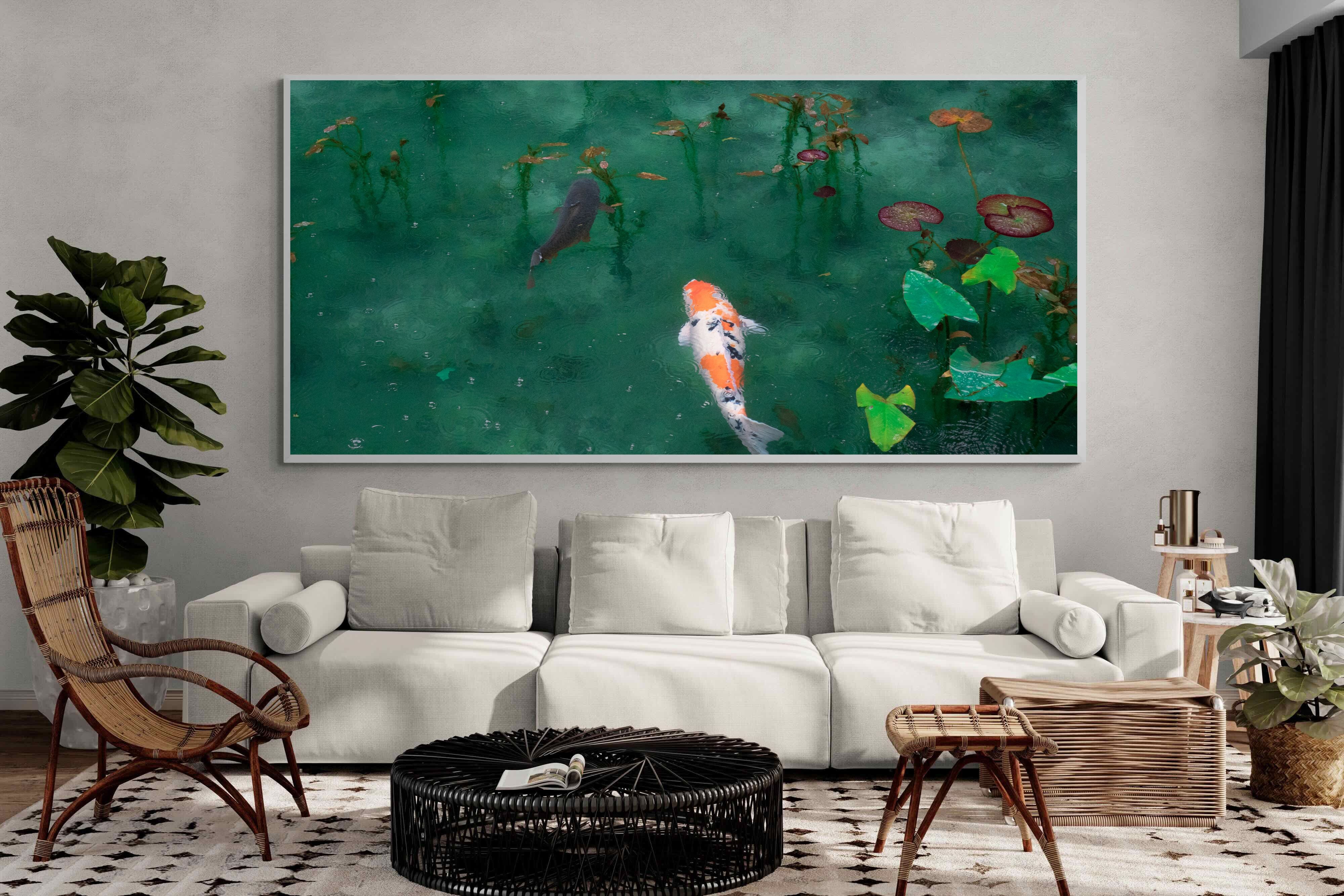 Pixalot Koi Pond