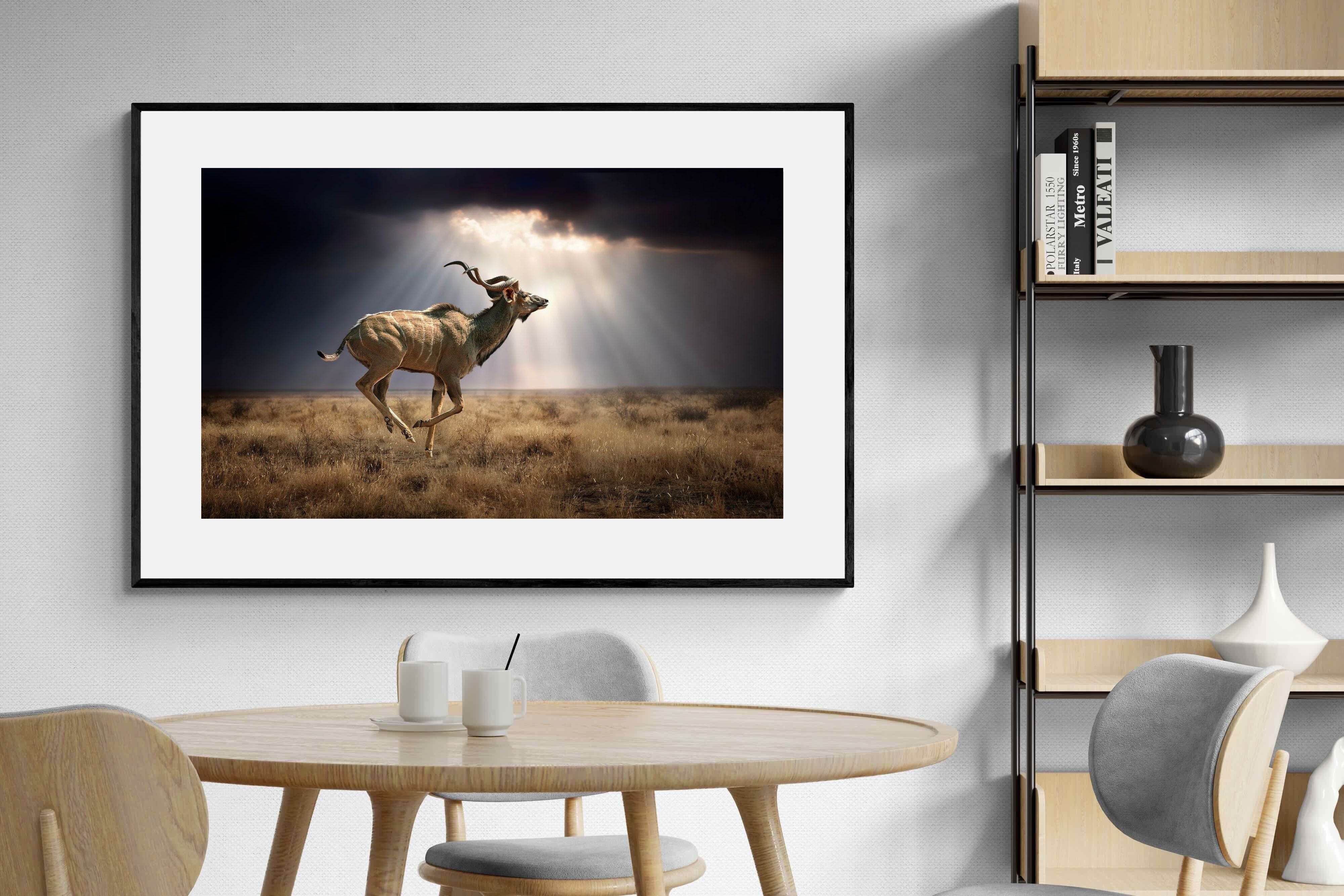 Pixalot ® Leap of Light