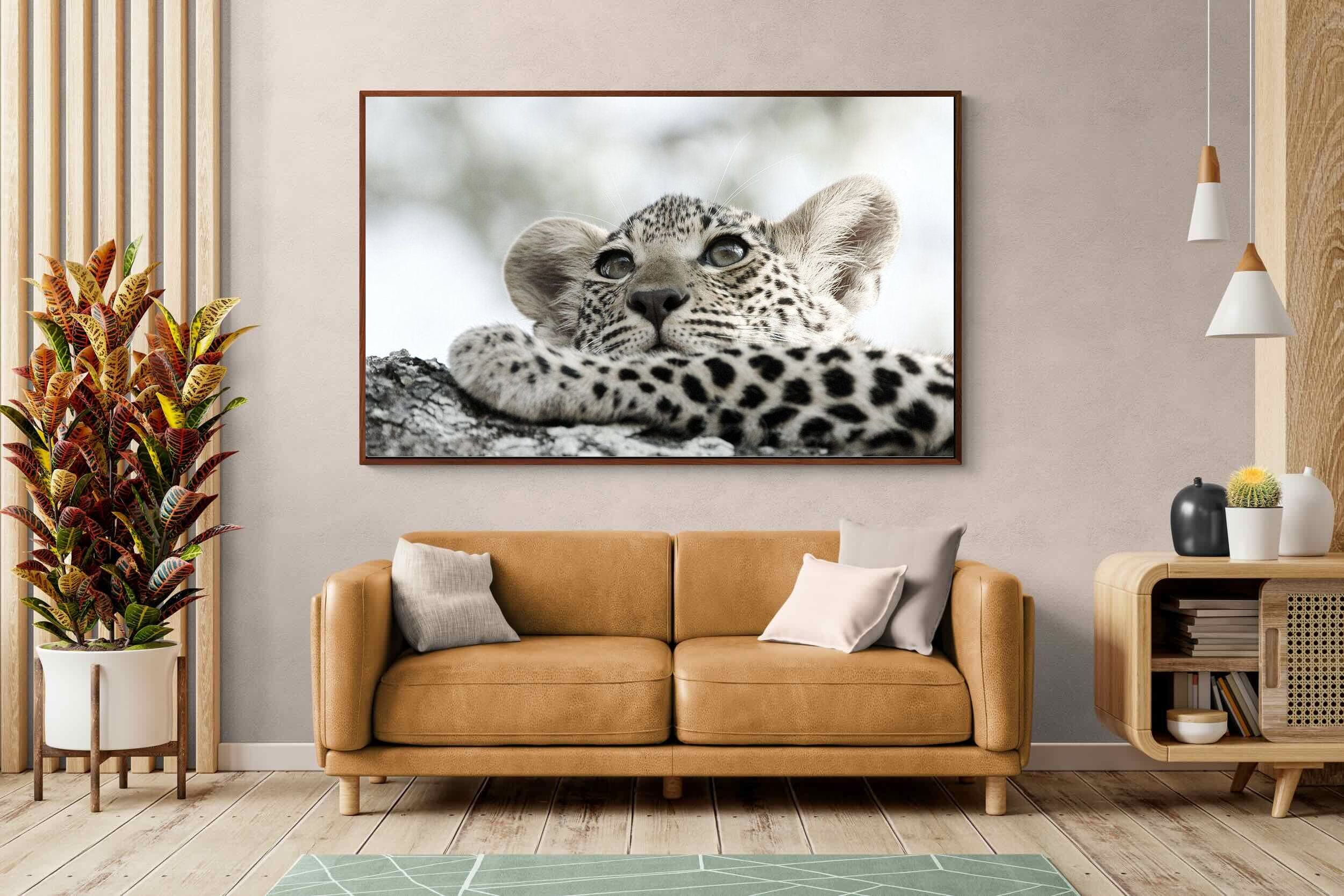 Pixalot Leopard Cub
