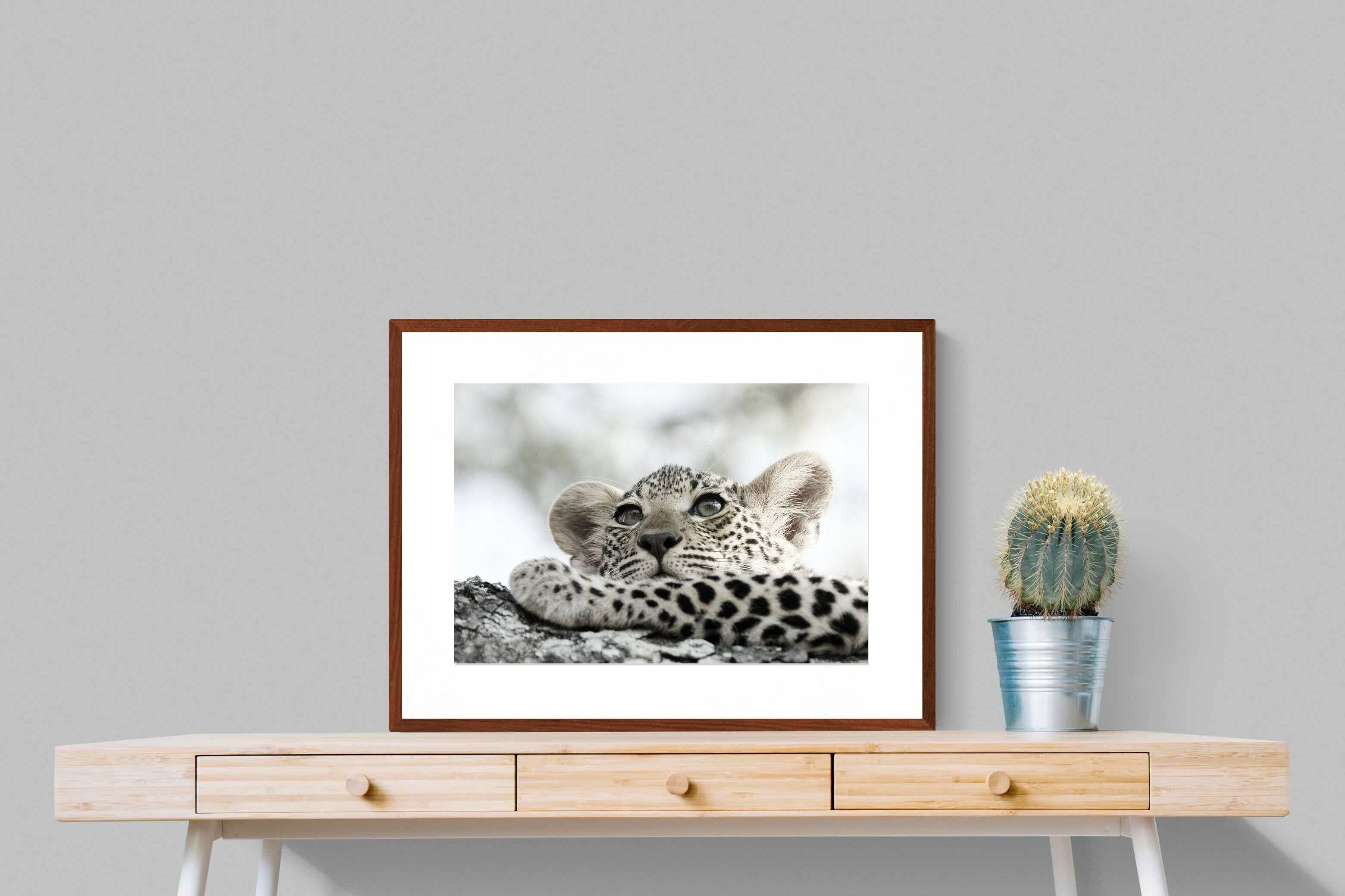 Pixalot Leopard Cub
