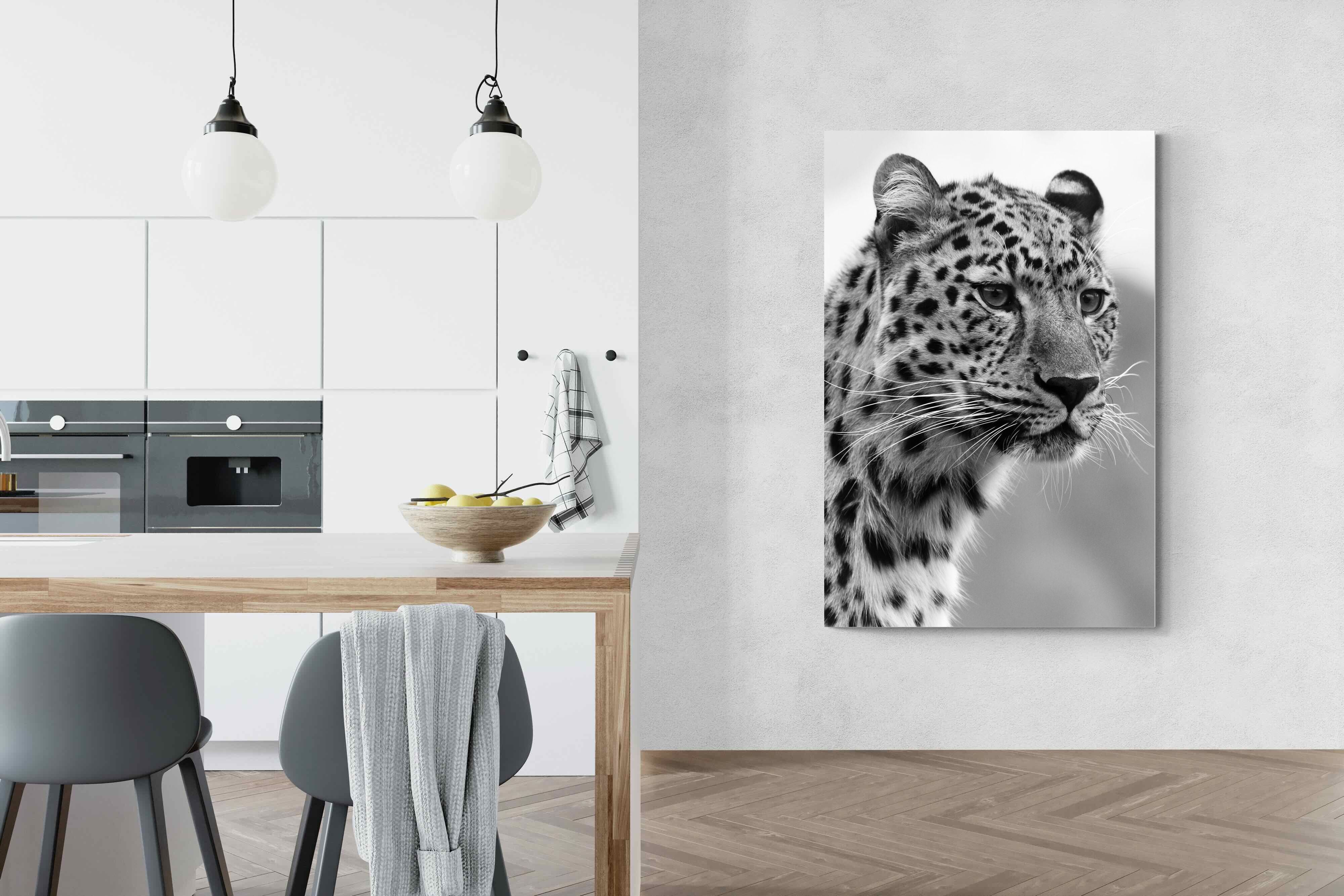 Pixalot Leopard Focus