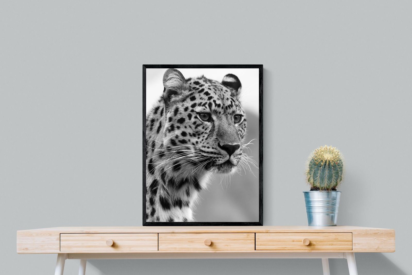 Pixalot Leopard Focus