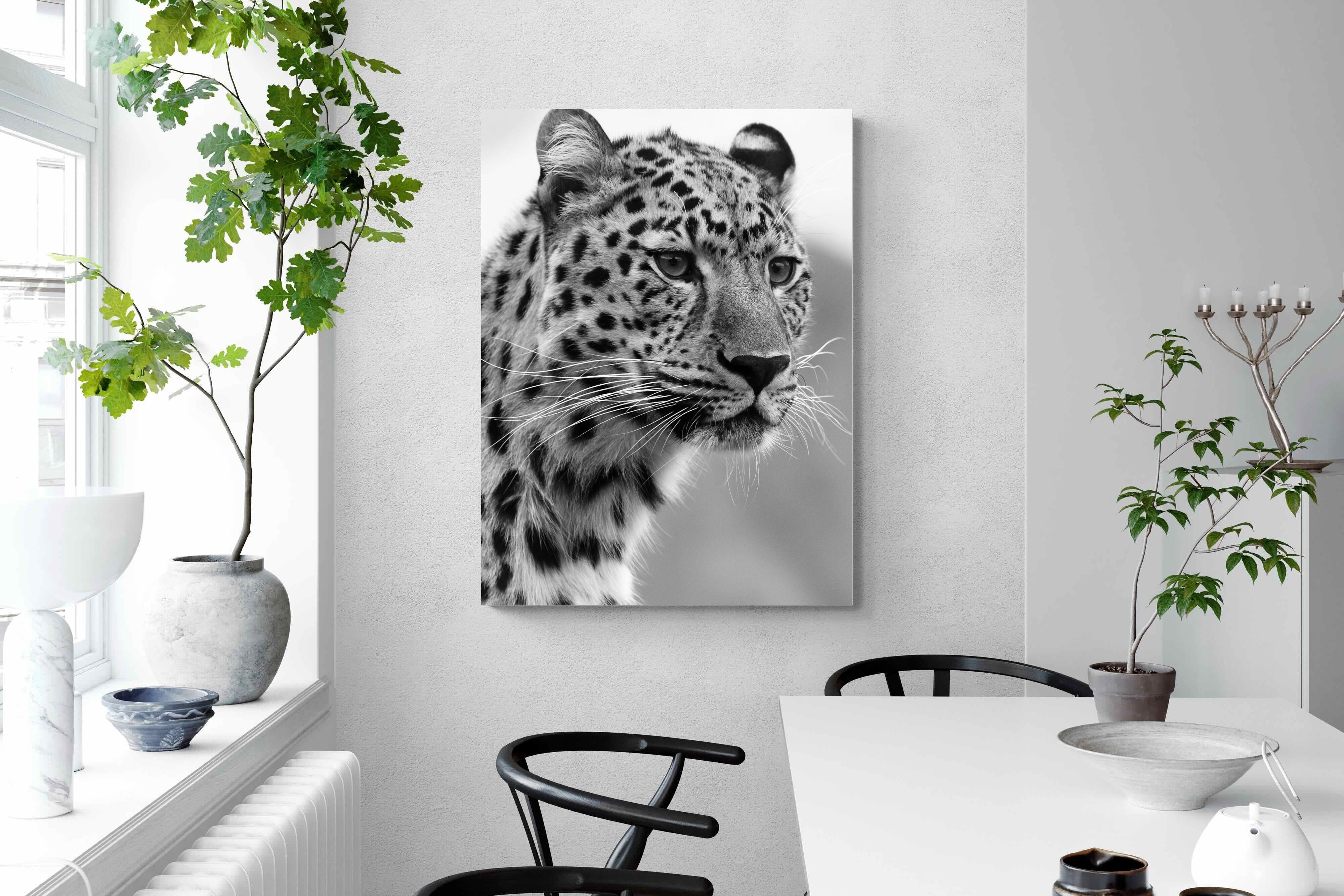 Pixalot Leopard Focus