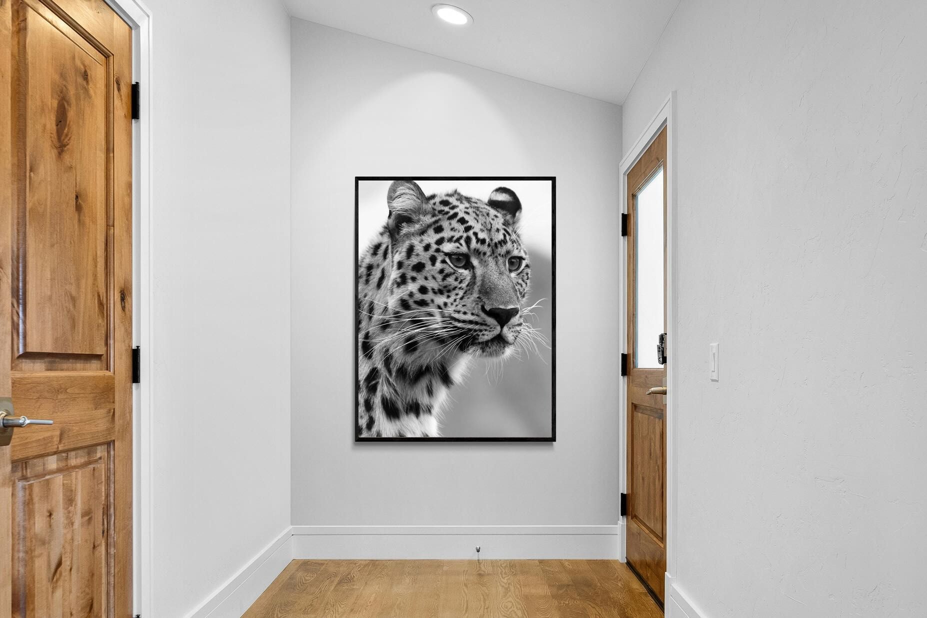 Pixalot Leopard Focus