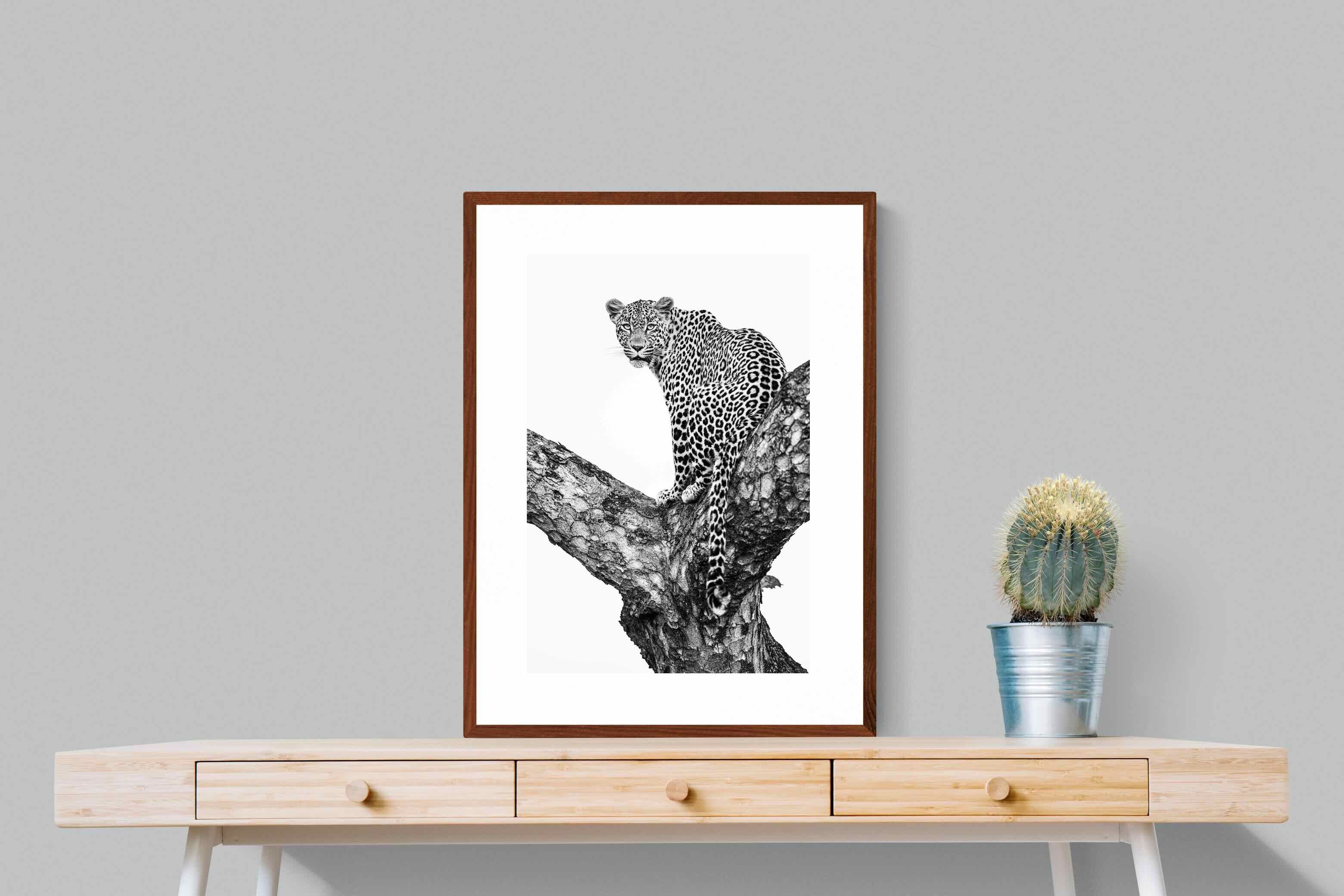 Pixalot ® Leopard in the Tree