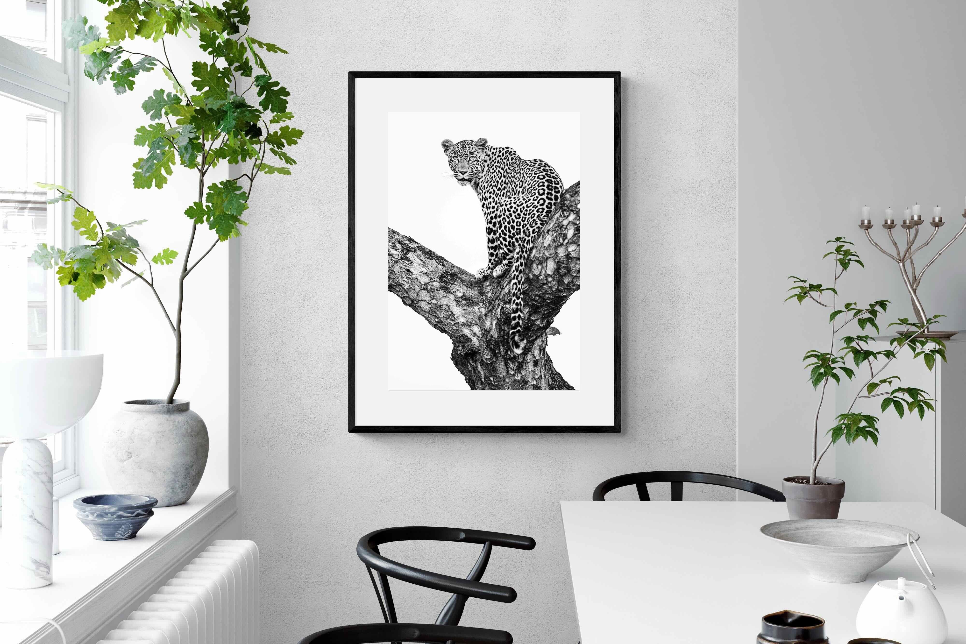 Pixalot ® Leopard in the Tree