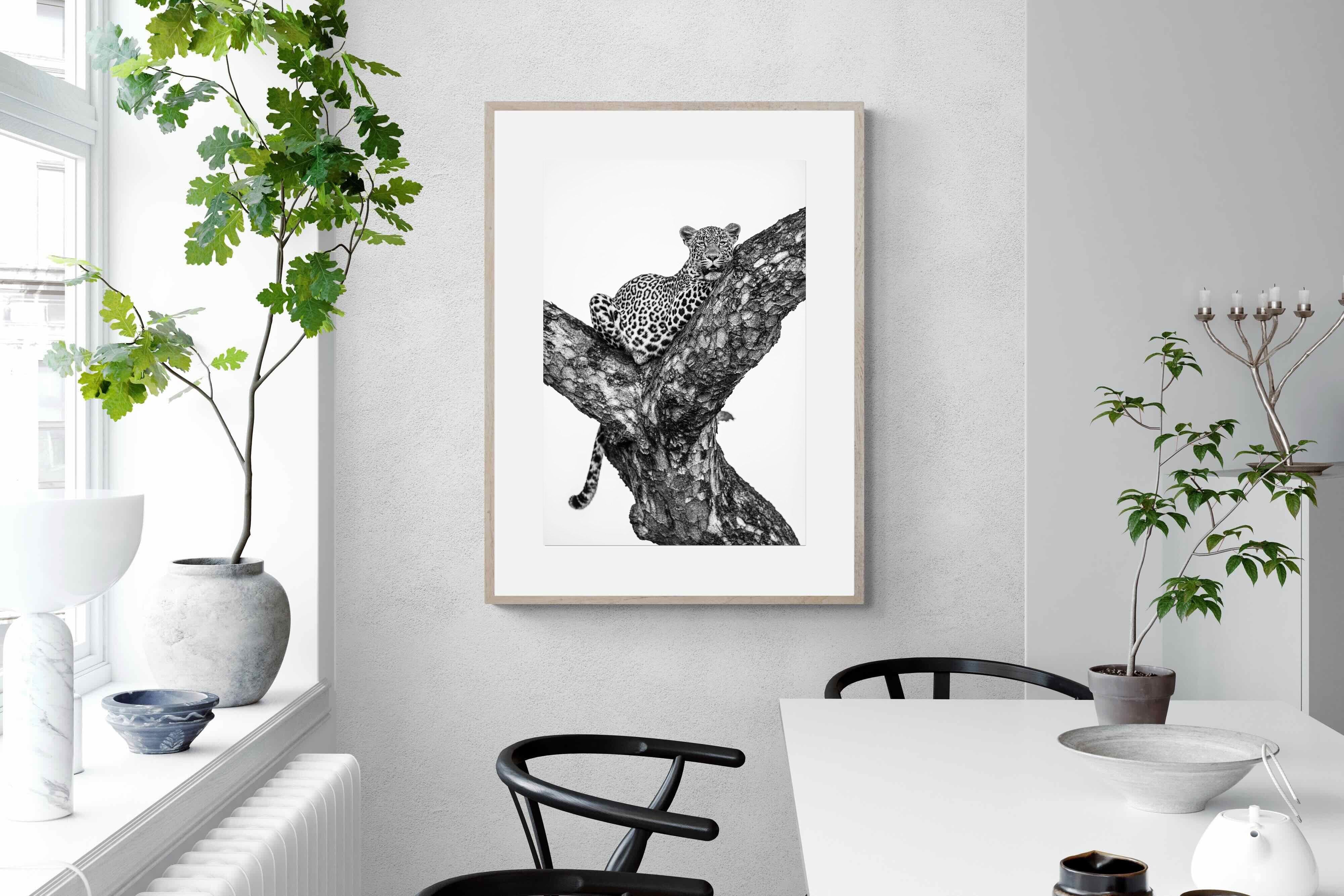 Pixalot ® Leopard Lookout