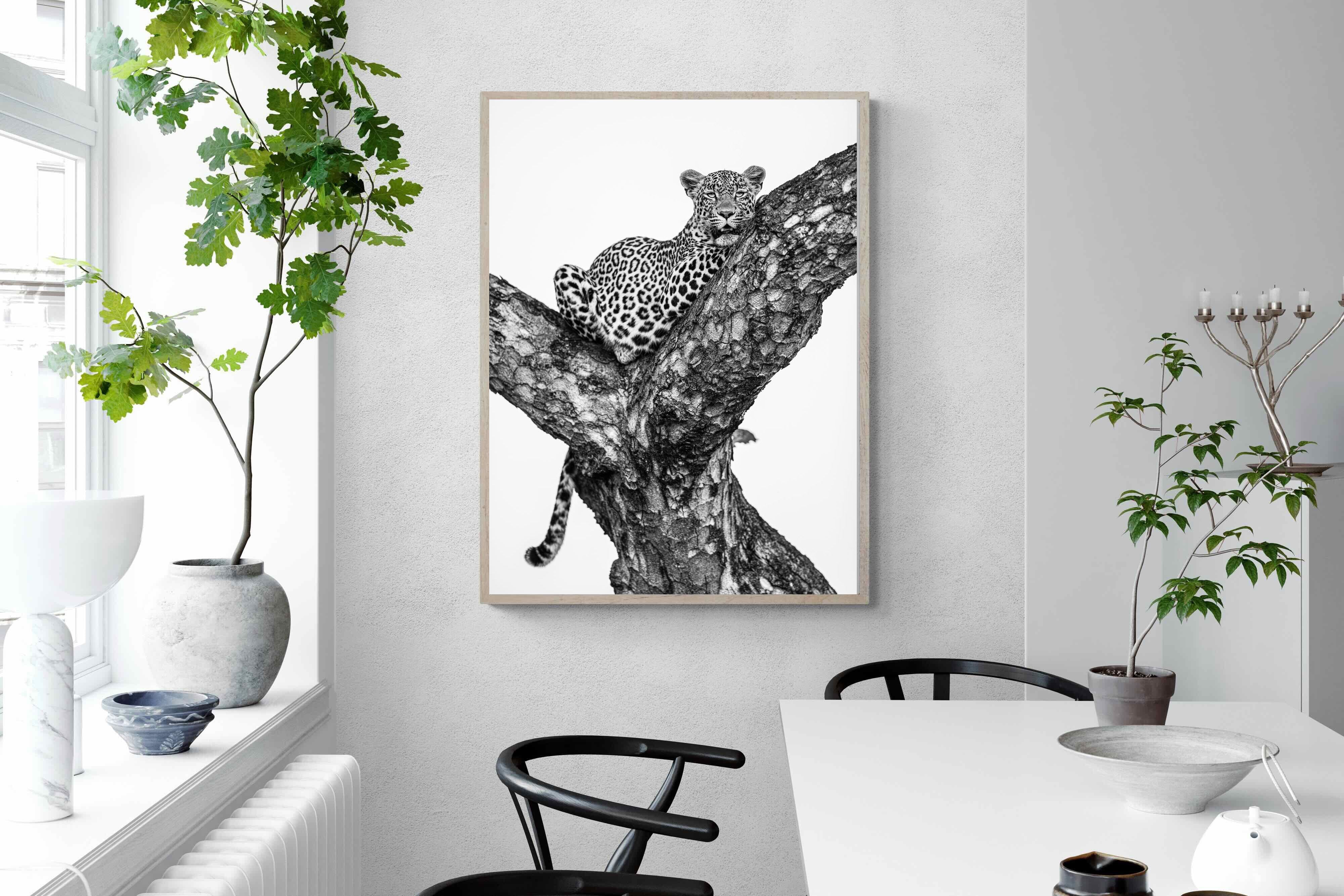 Pixalot ® Leopard Lookout