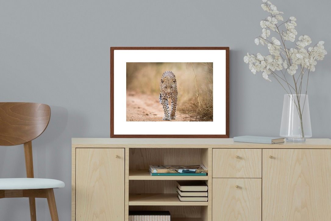 Pixalot ® Leopard