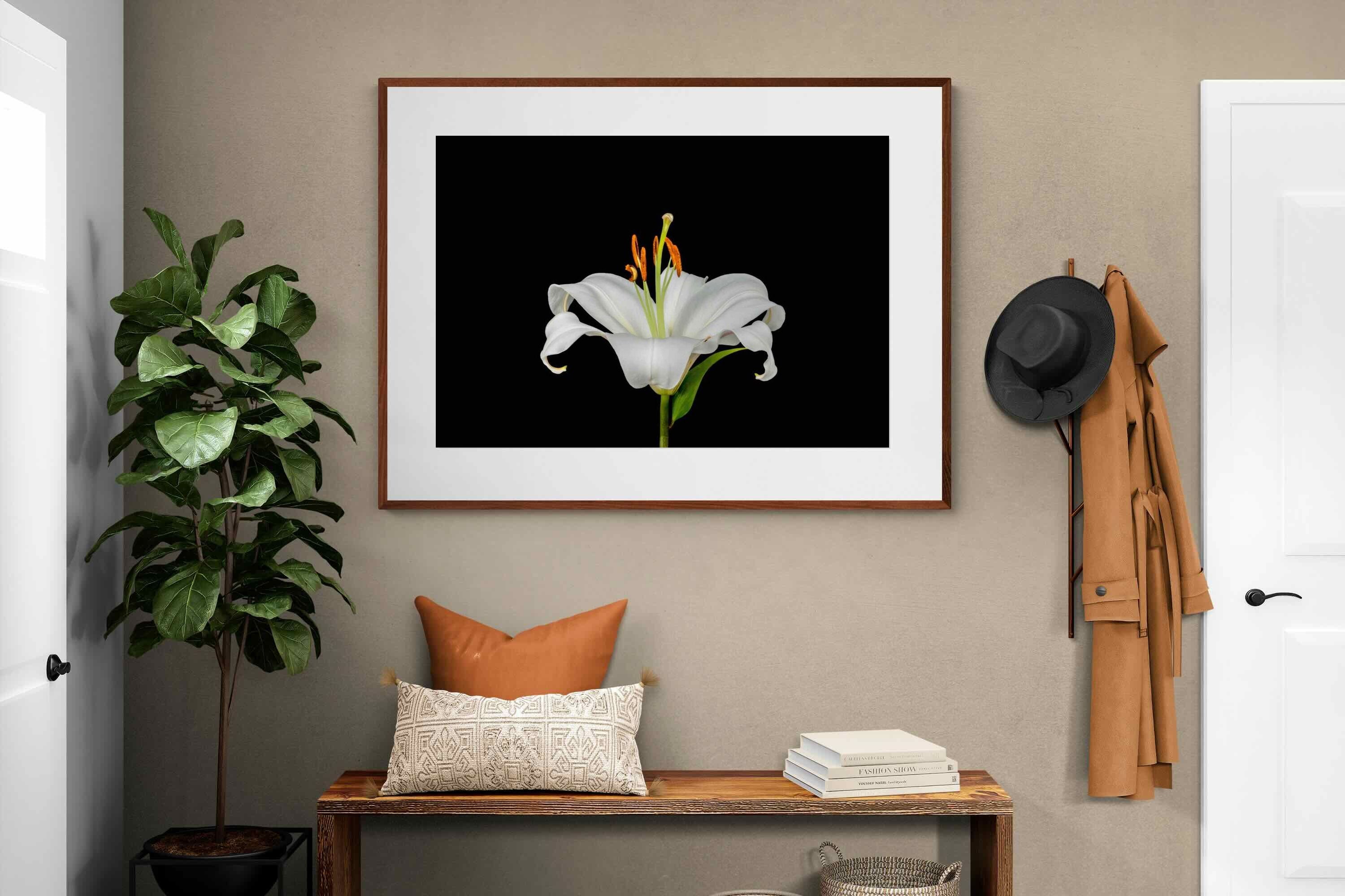 Pixalot ® Lilium on Black