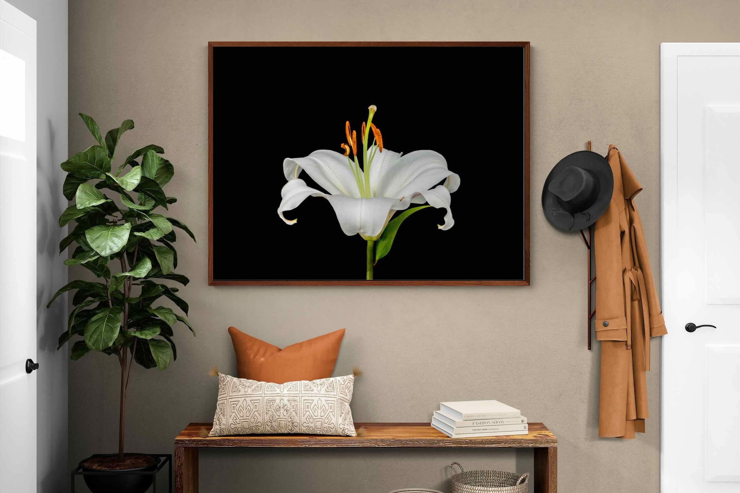 Pixalot ® Lilium on Black