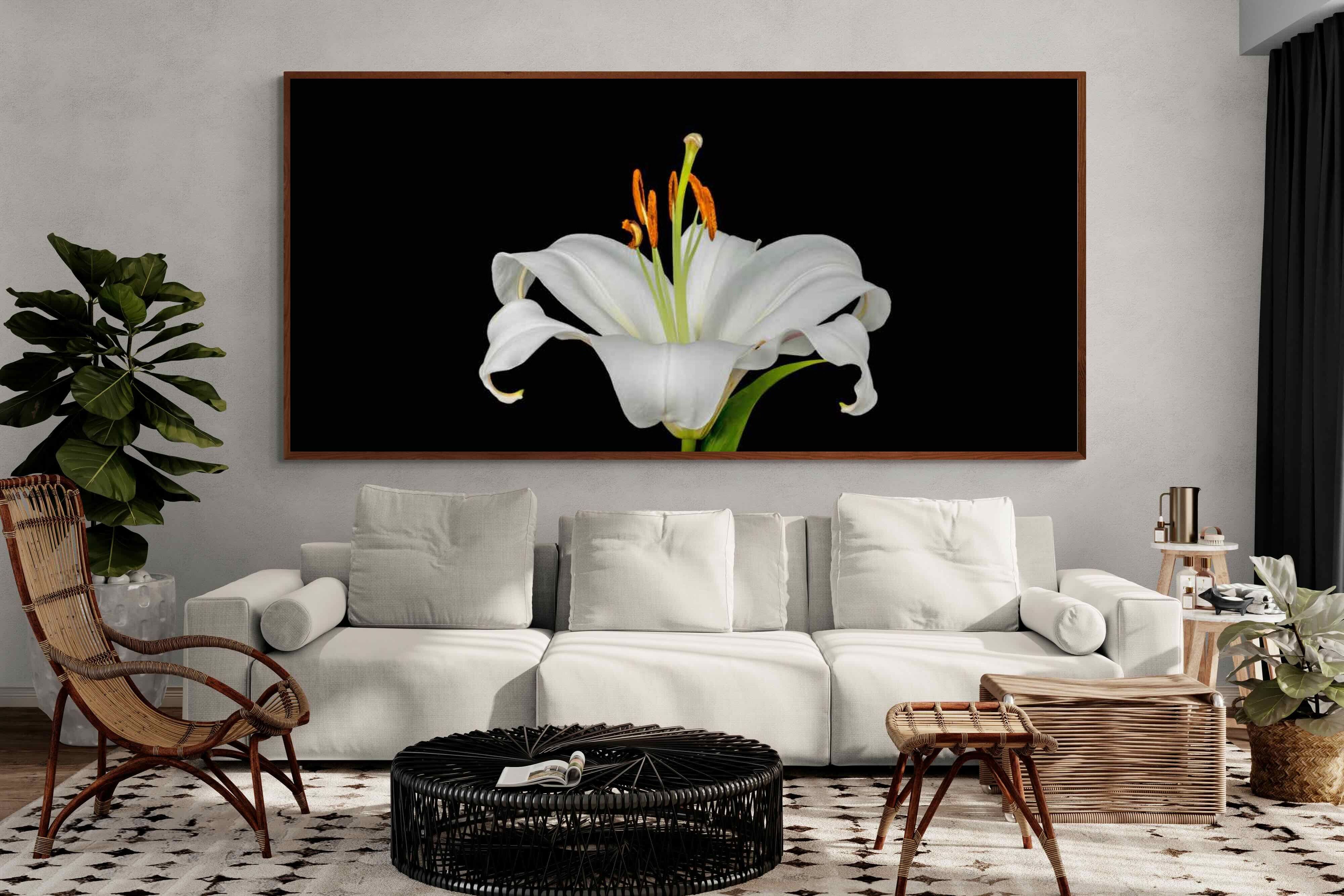 Pixalot ® Lilium on Black