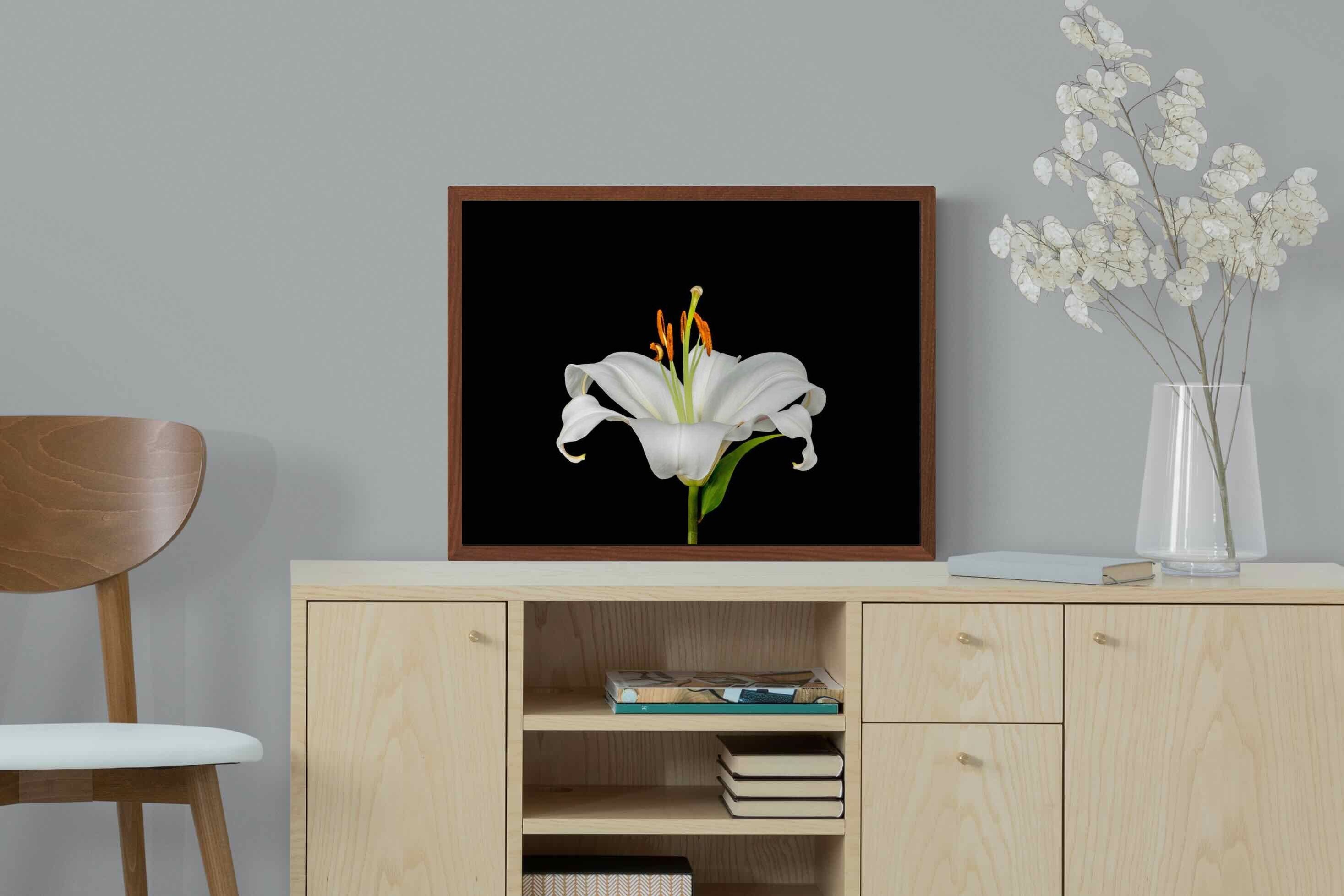 Pixalot ® Lilium on Black