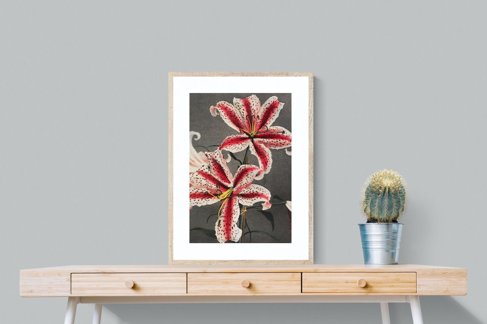 Pixalot Lily #3