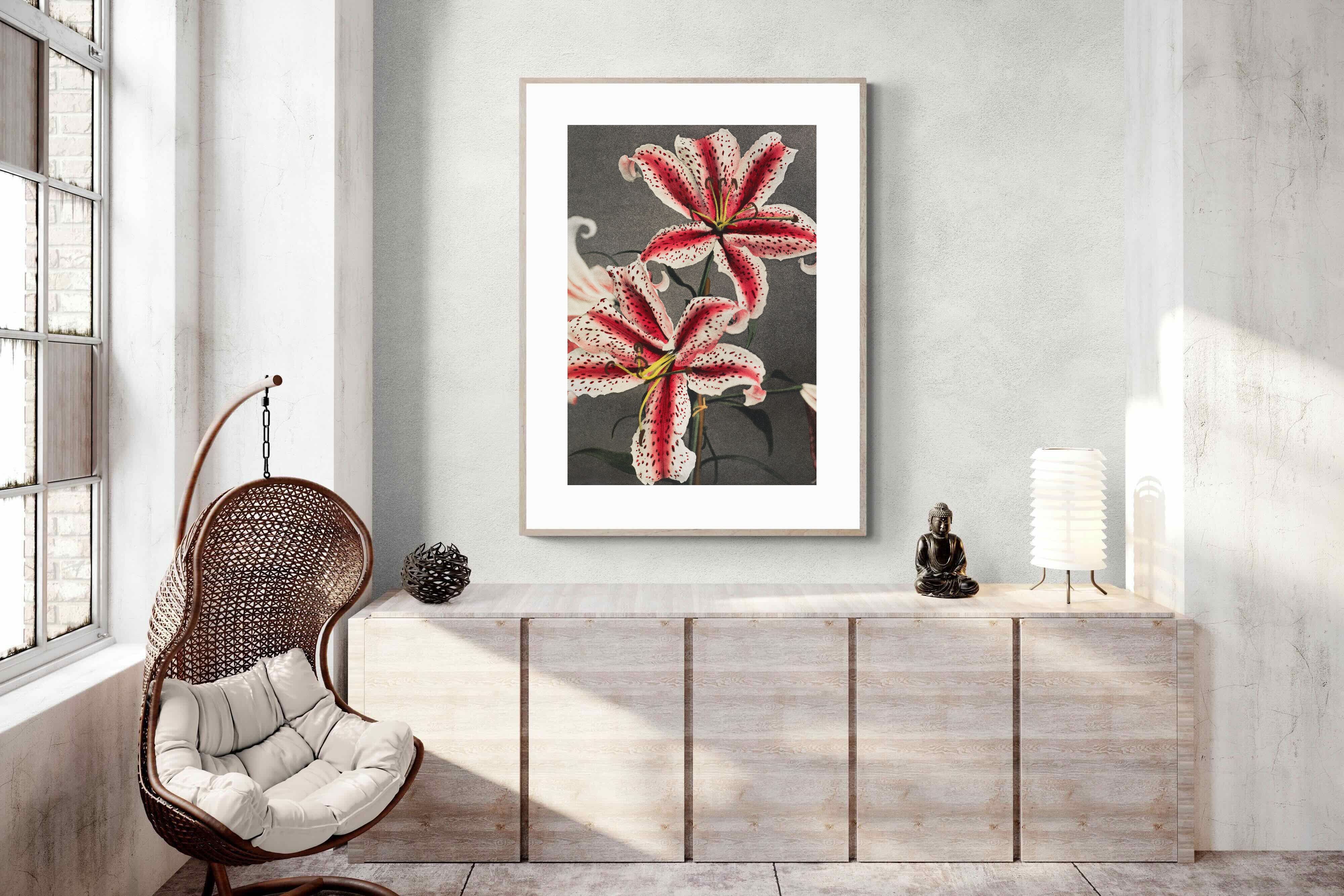 Pixalot Lily #3