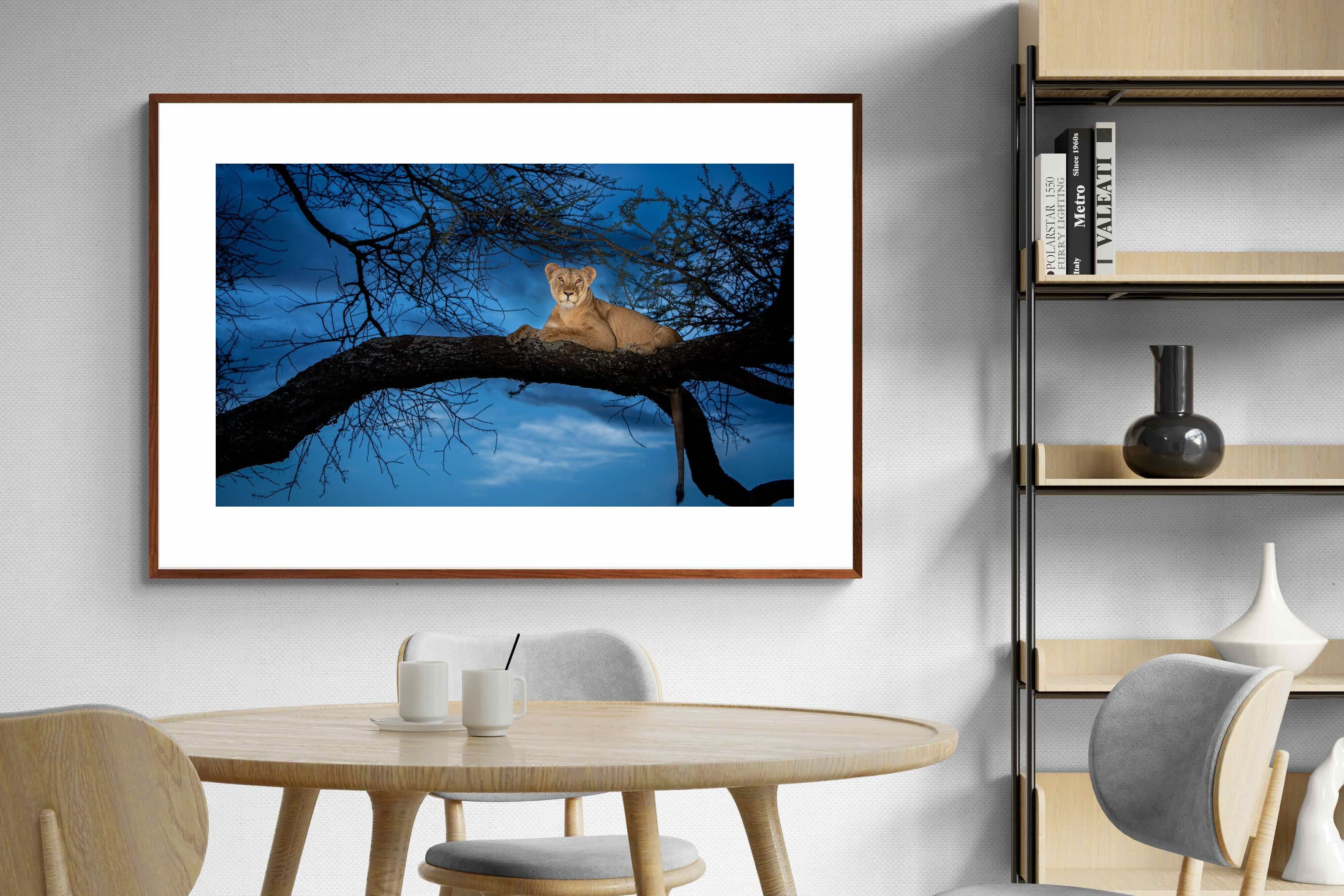 Pixalot ® Lion at Dusk