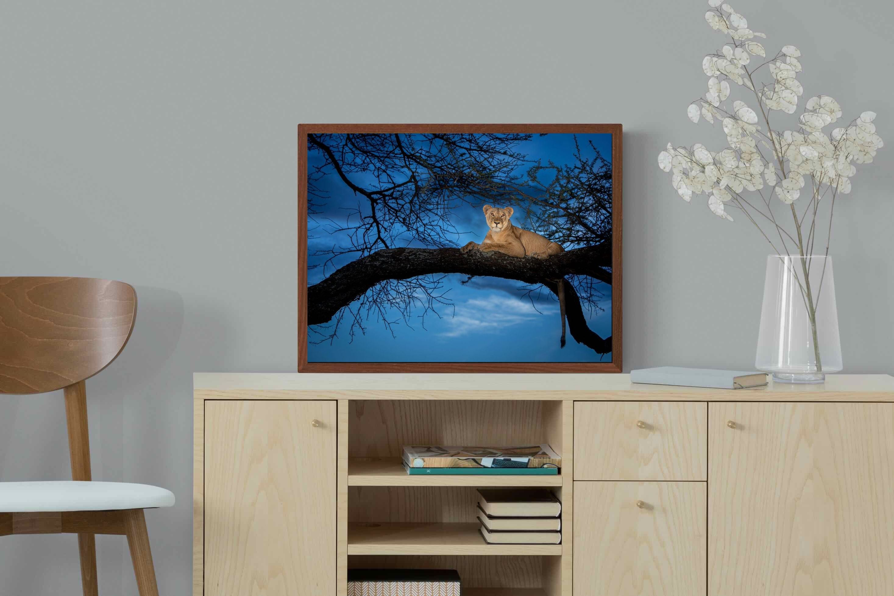 Pixalot ® Lion at Dusk