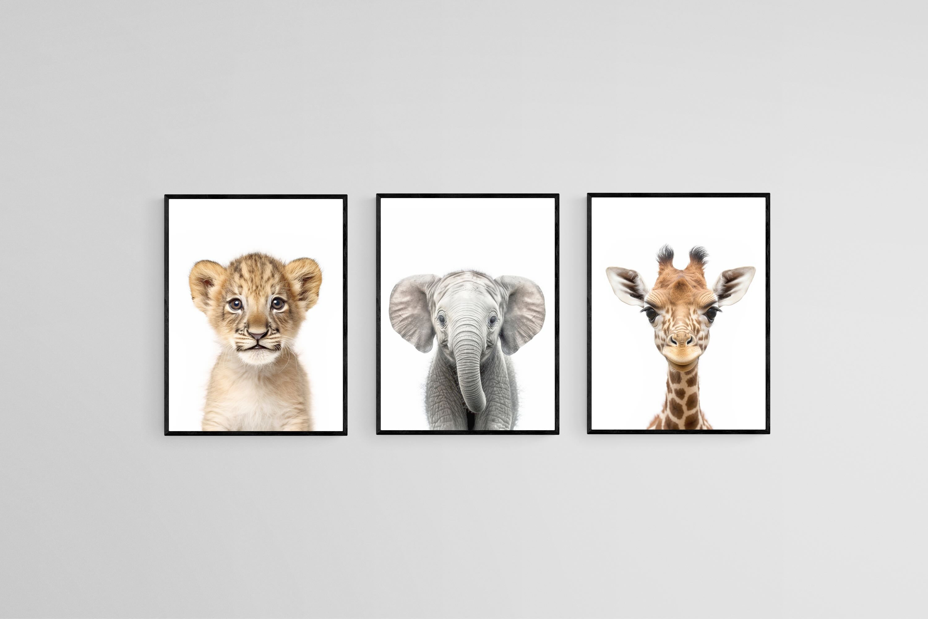 Lion Ele Giraffe Set-Wall_Art-45 x 60cm (x3)-Mounted Canvas-Black-Pixalot