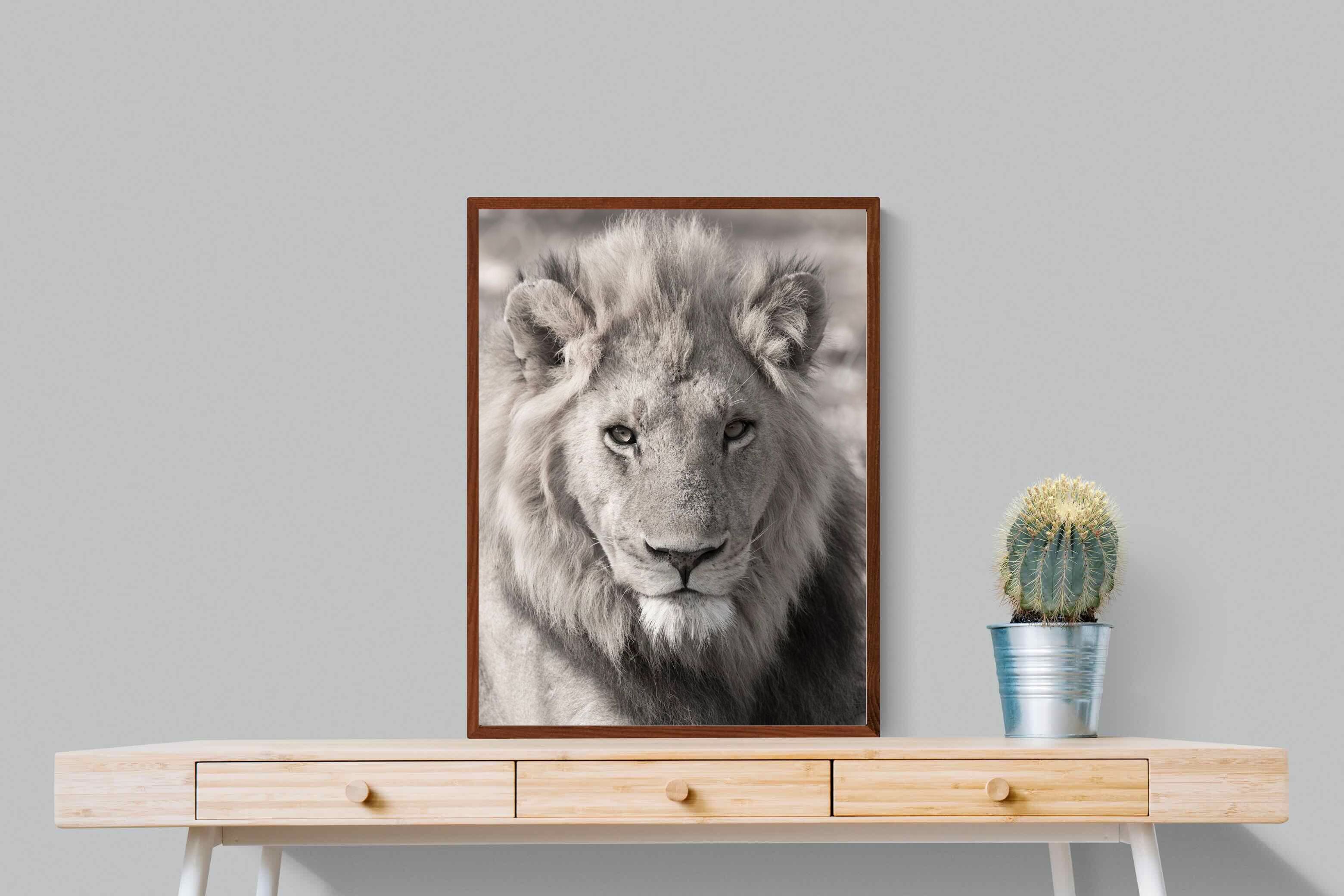 Pixalot Lion Eyes
