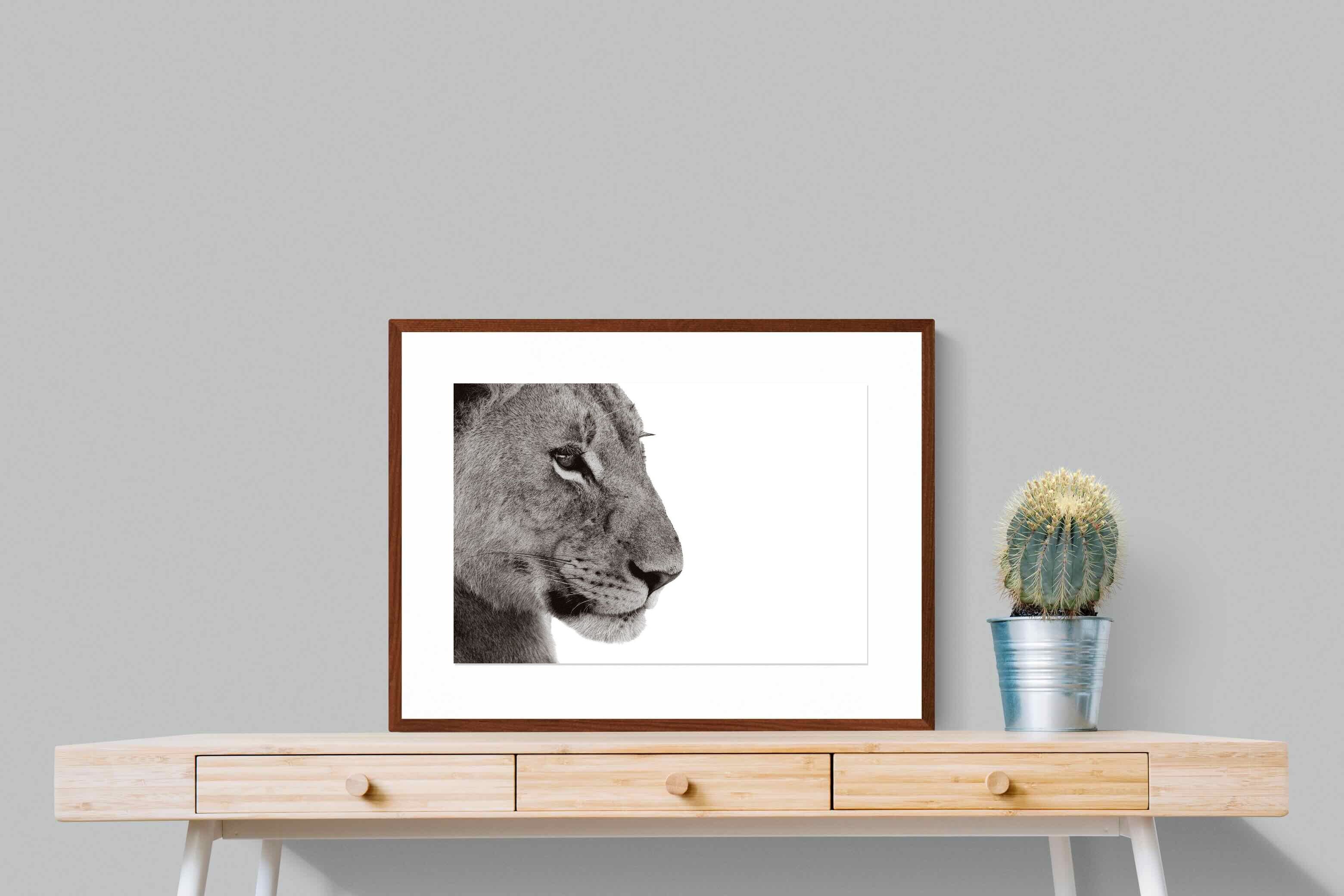 Pixalot ® Lioness Gaze