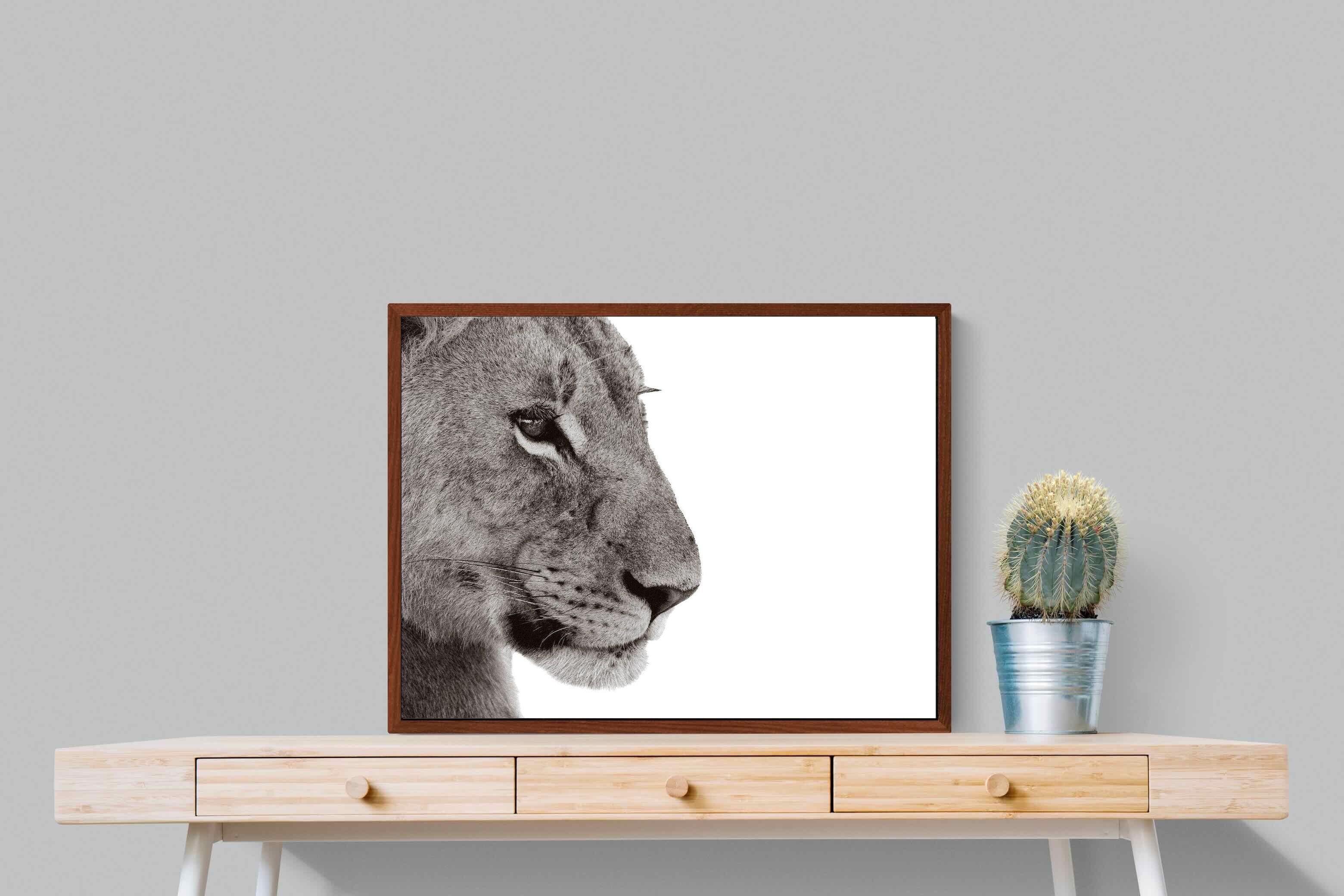 Pixalot ® Lioness Gaze