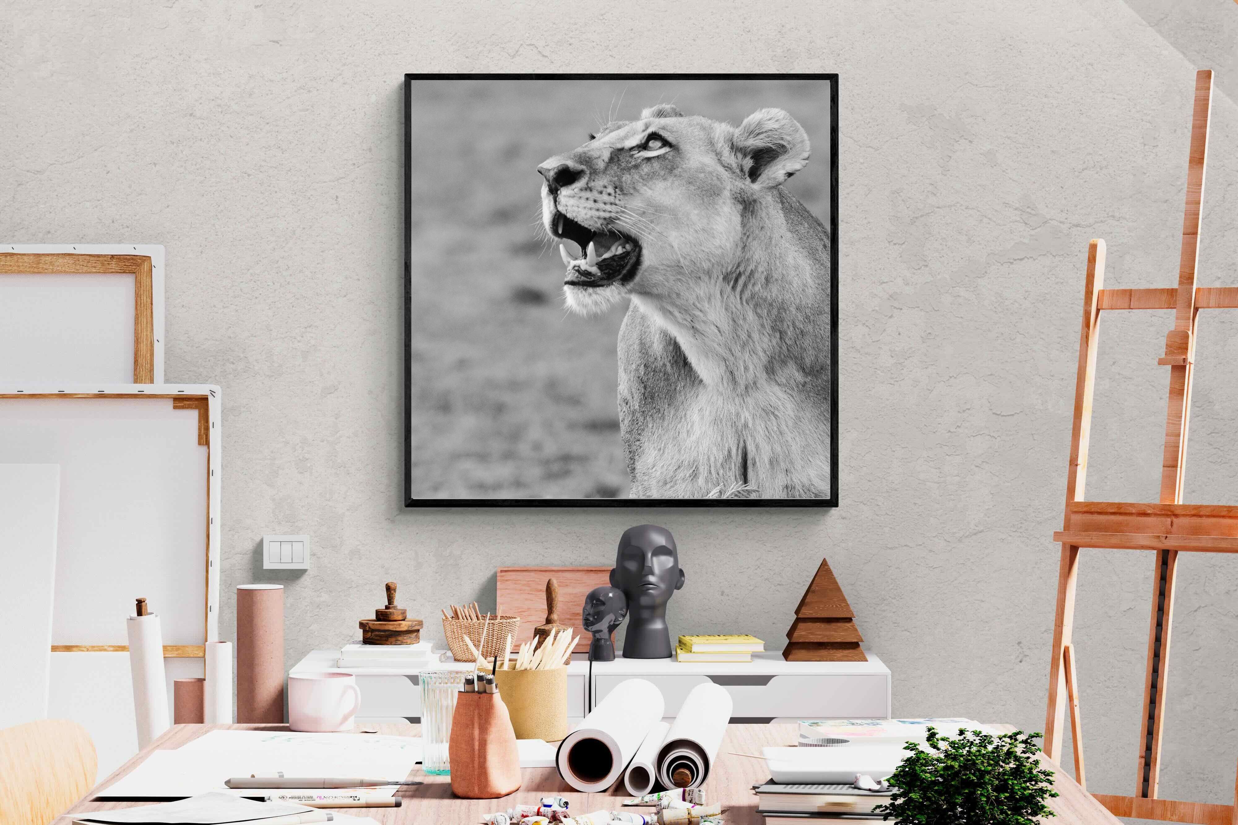 Pixalot Lioness Glance