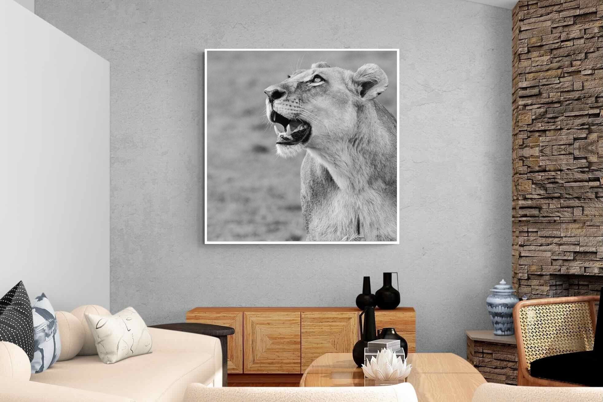 Pixalot Lioness Glance