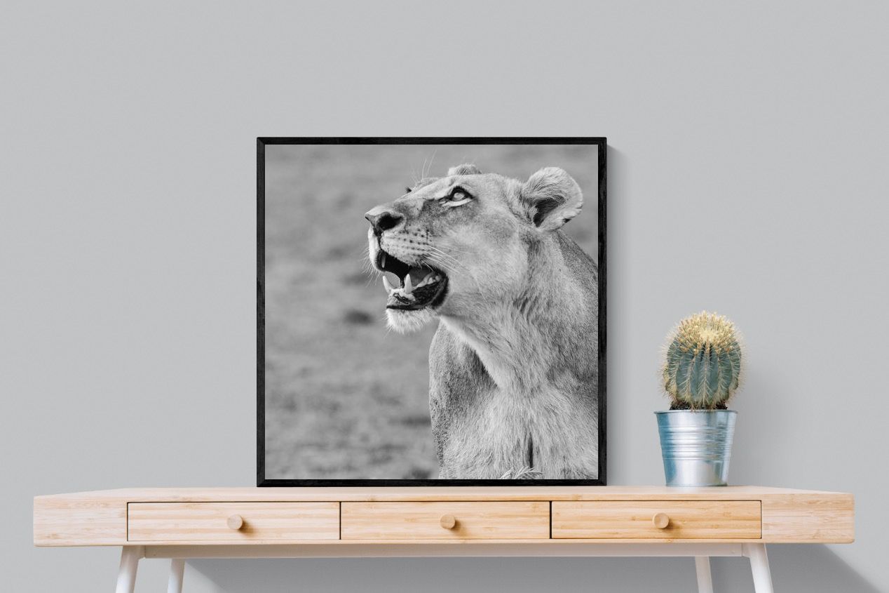 Pixalot Lioness Glance