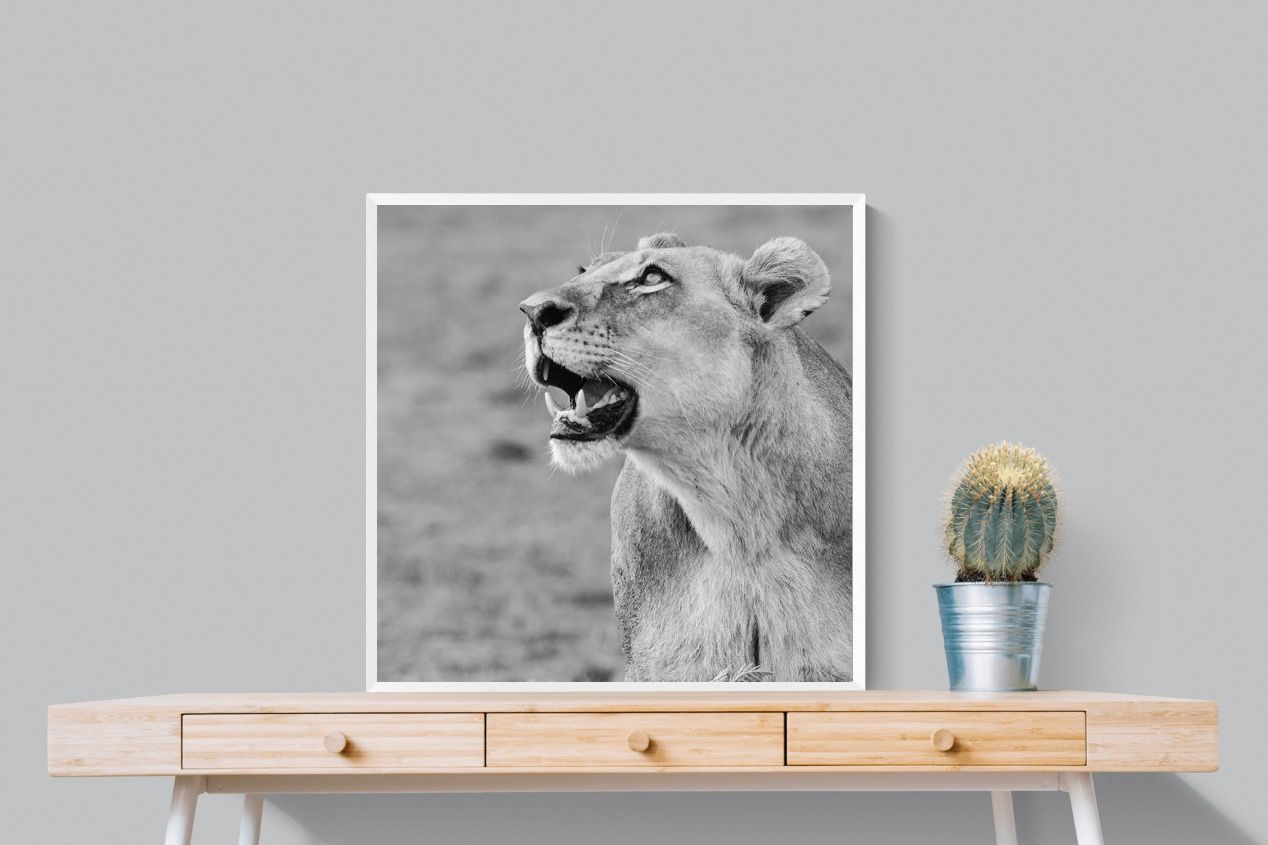 Pixalot Lioness Glance