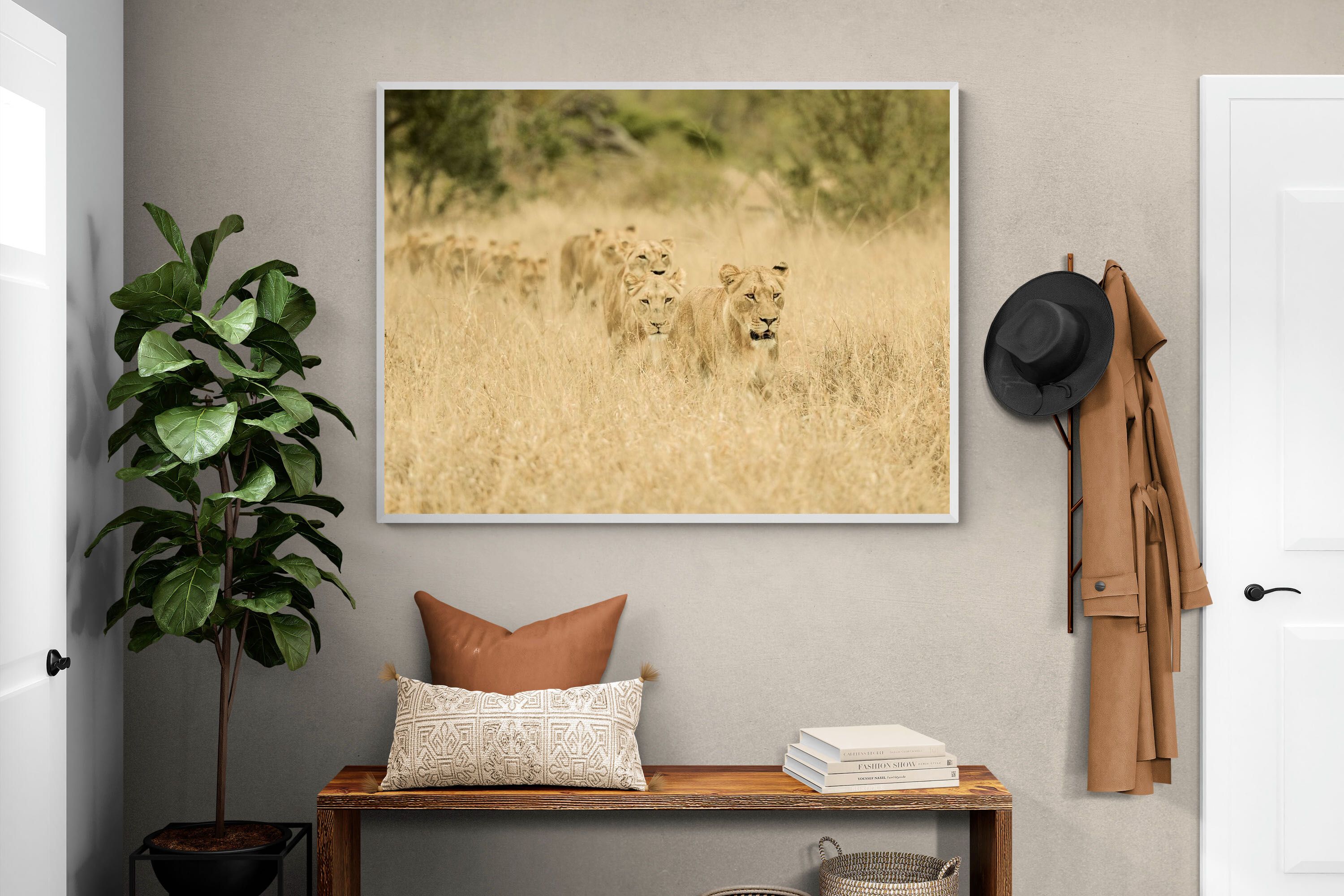 Pixalot Lionesses in Formation