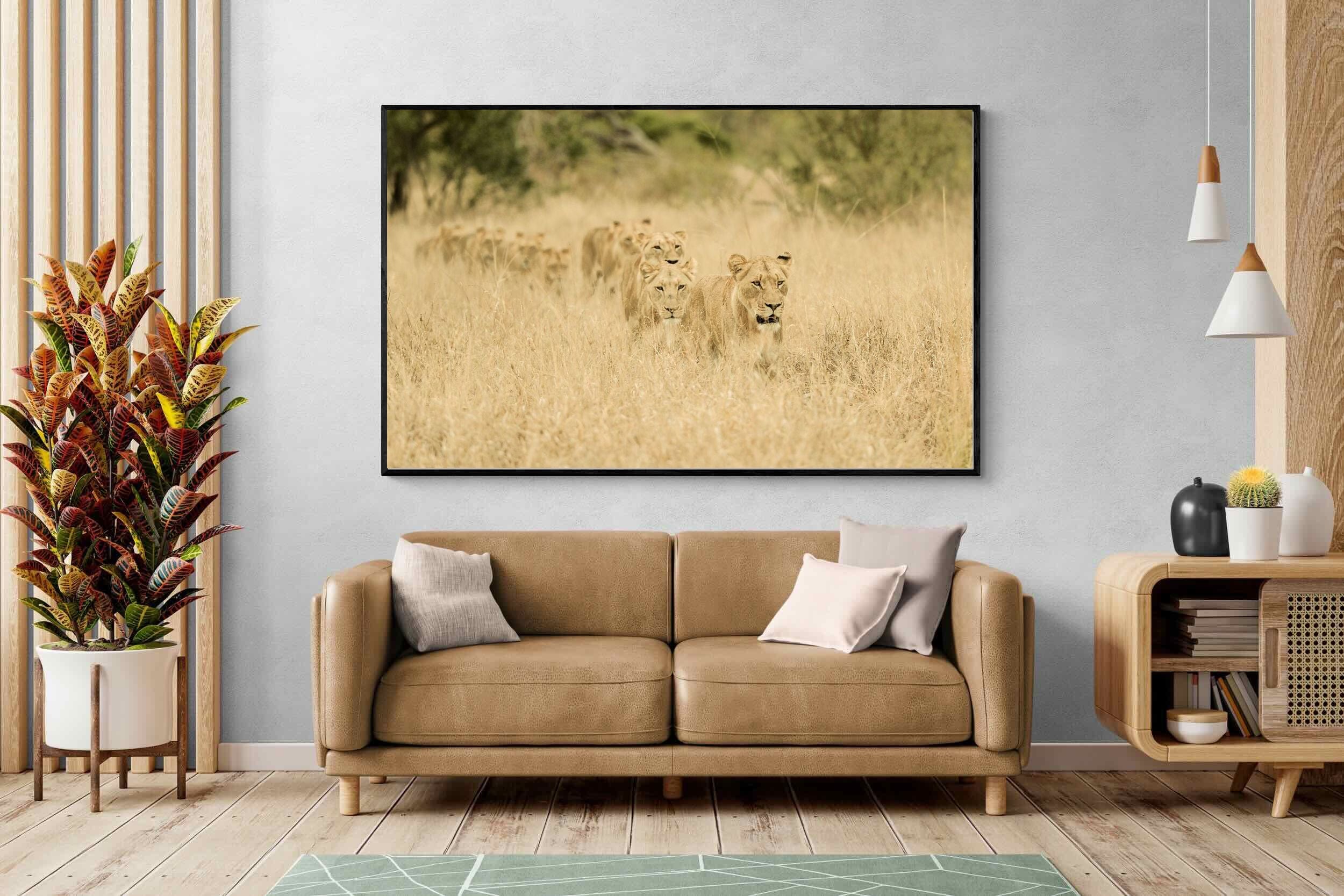 Pixalot Lionesses in Formation