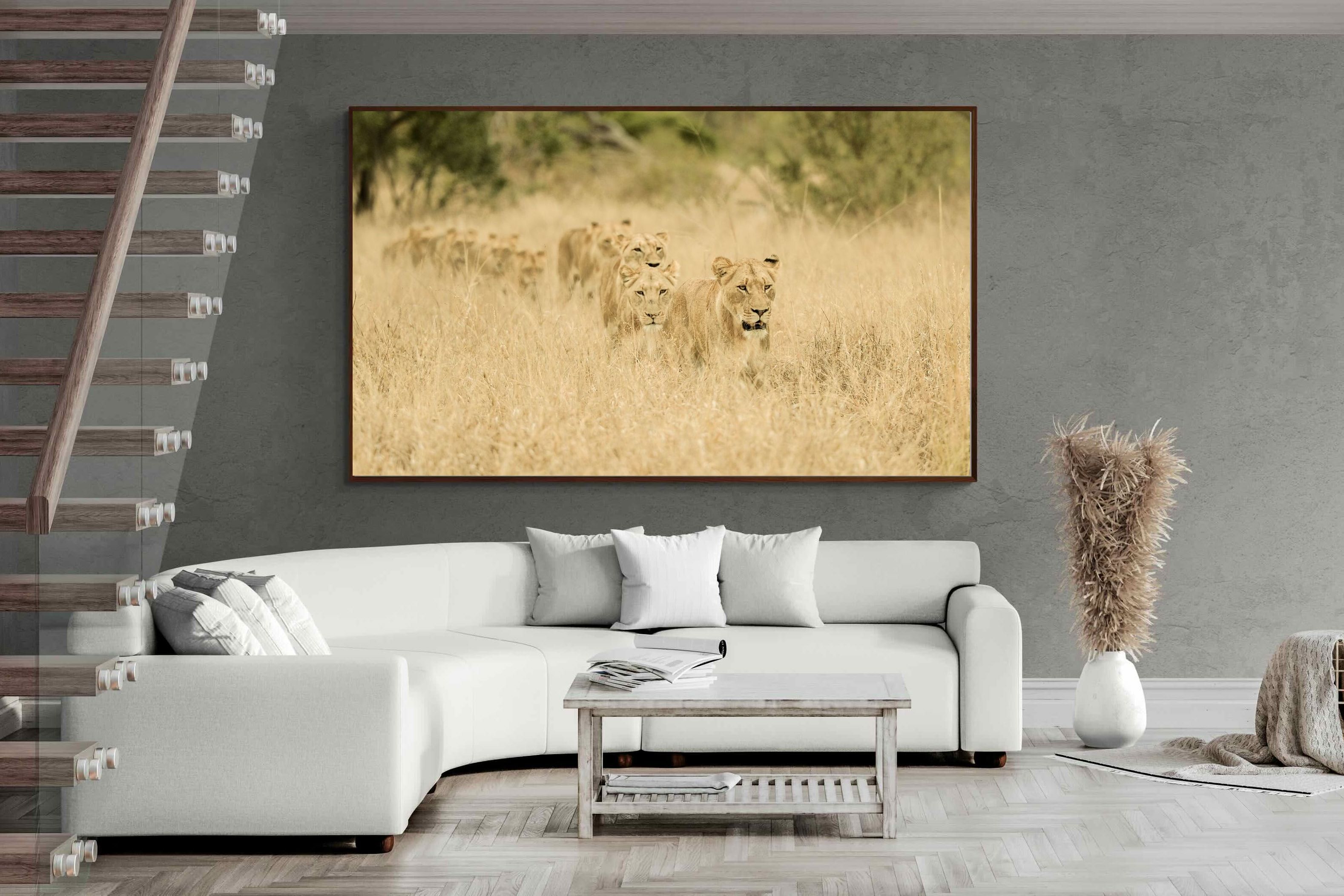 Pixalot ® Lionesses in Formation