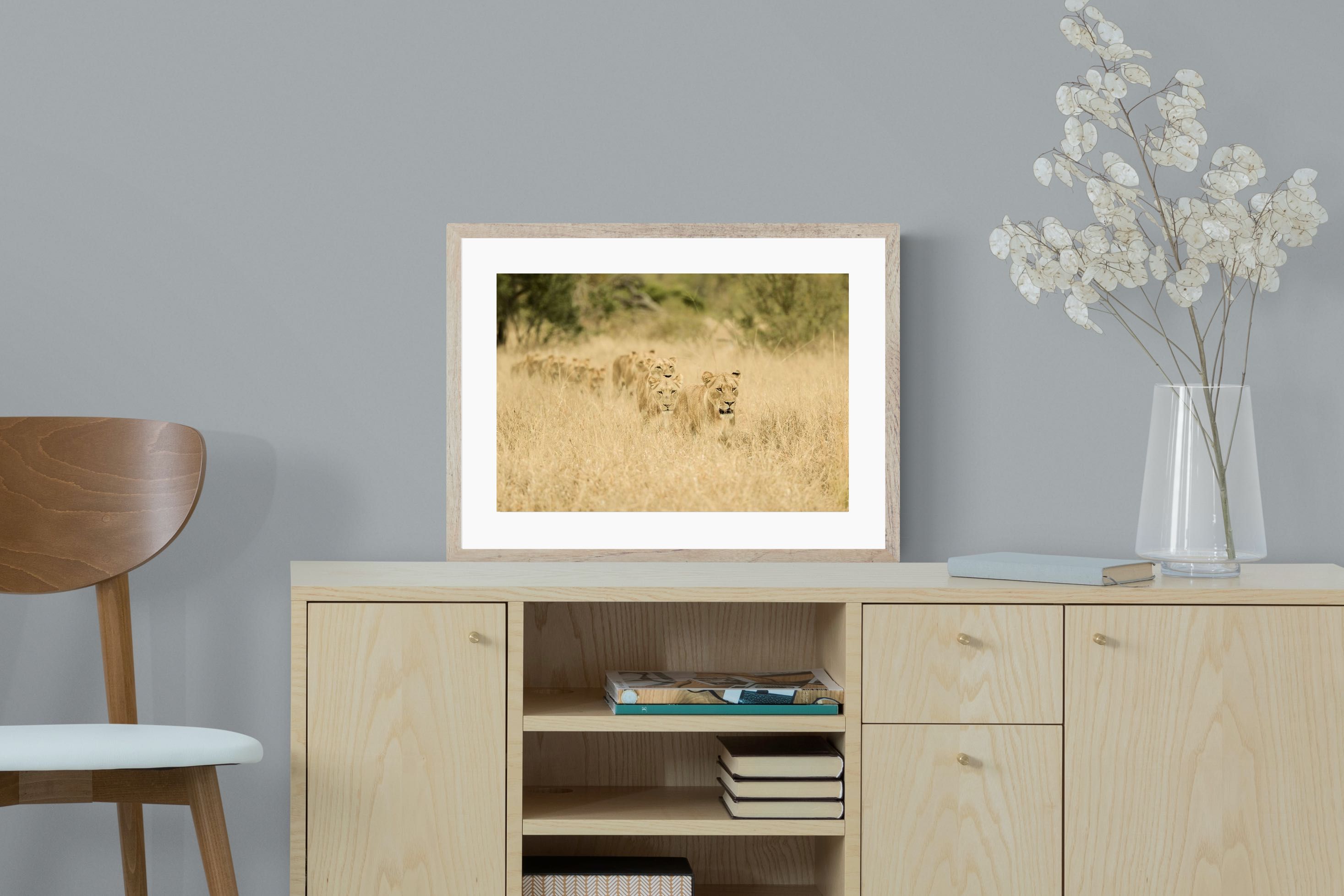 Pixalot Lionesses in Formation