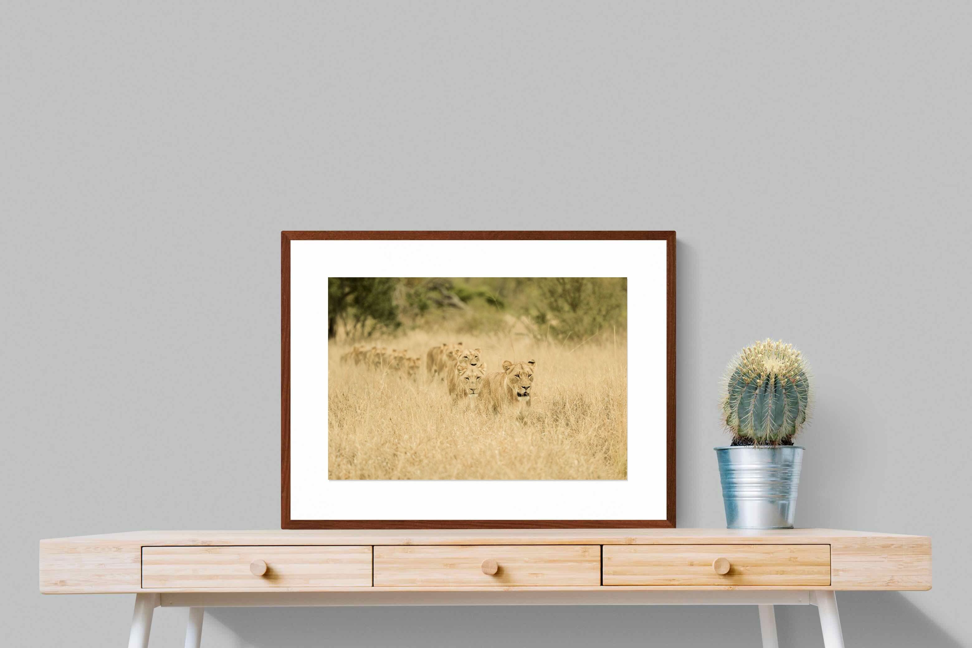 Pixalot ® Lionesses in Formation