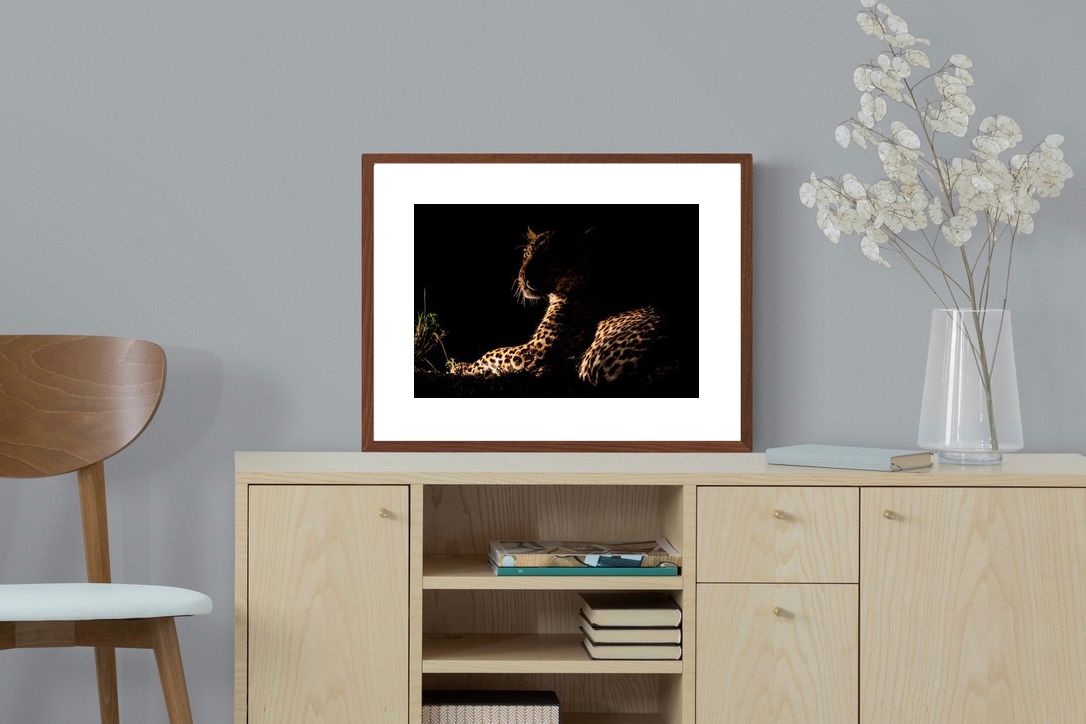Pixalot ® Lurking