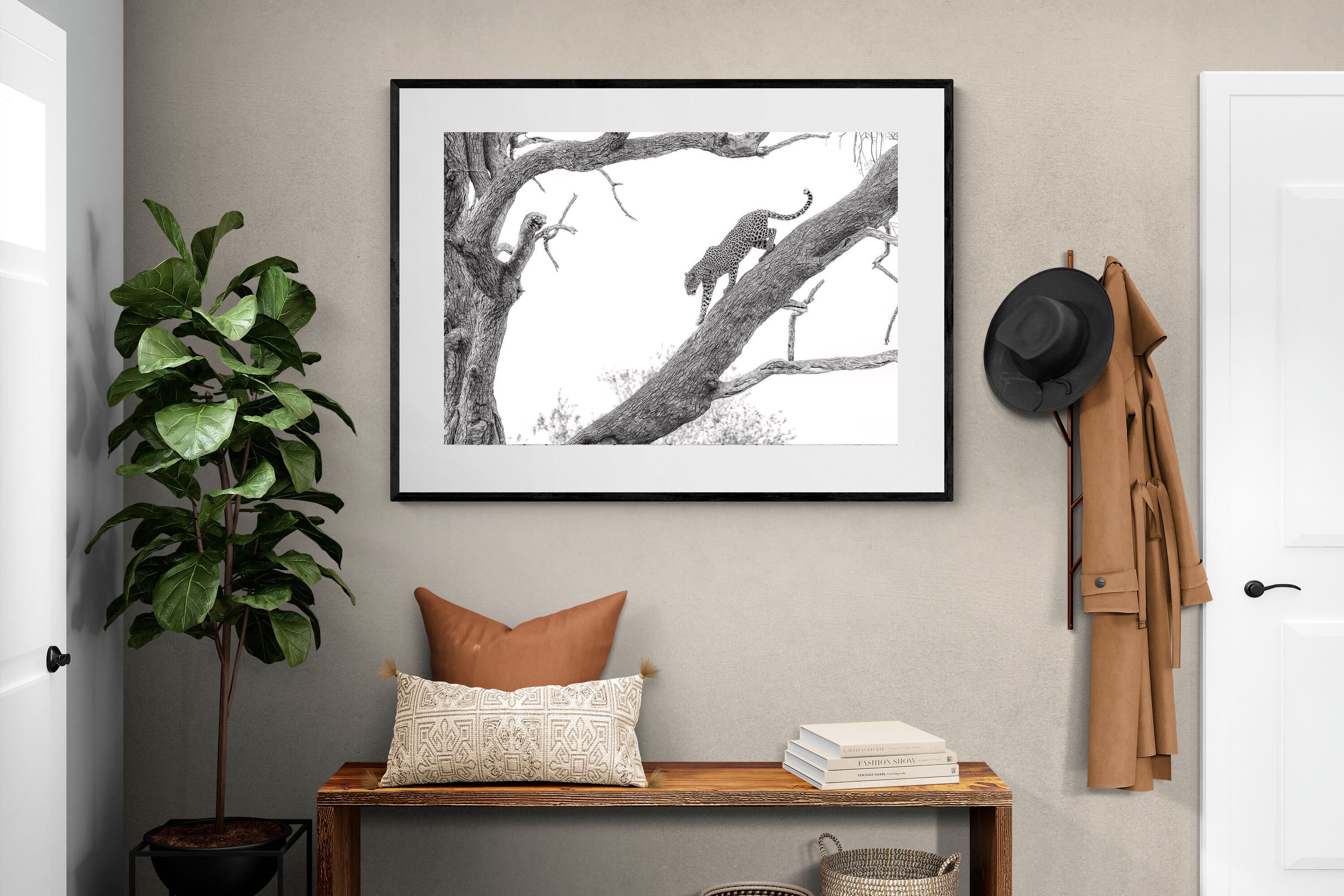 Pixalot Majestic Climber