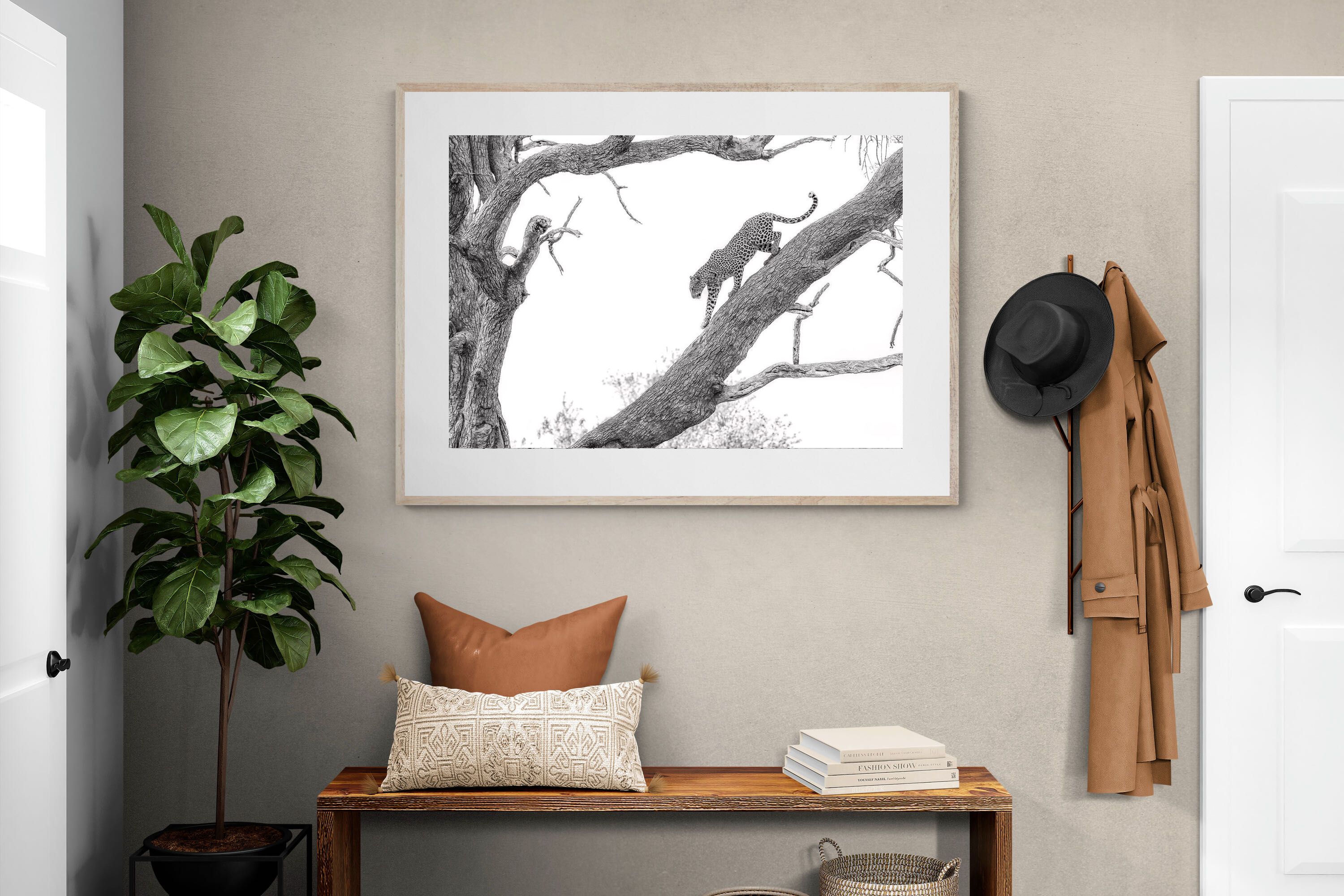 Pixalot Majestic Climber