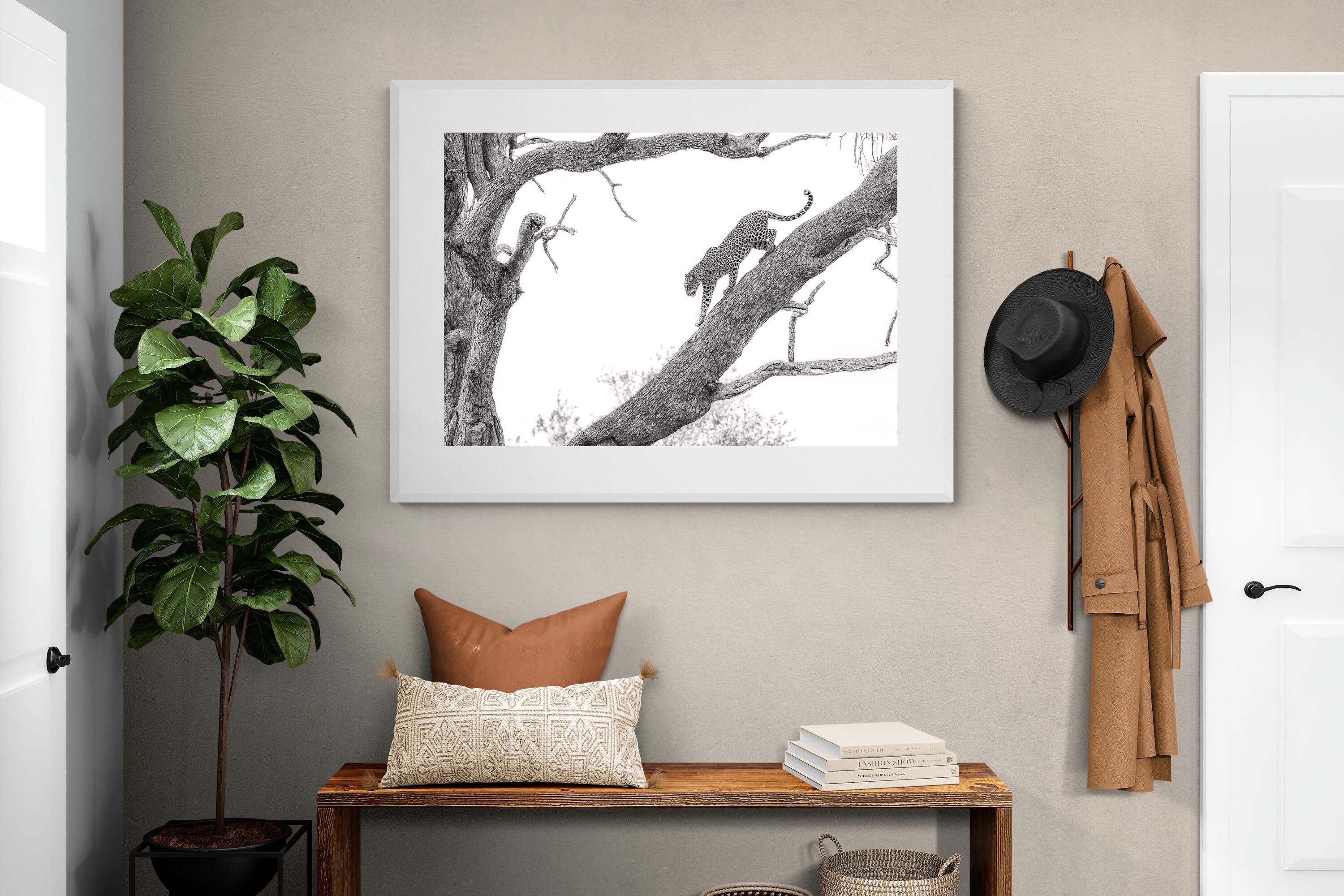 Pixalot Majestic Climber