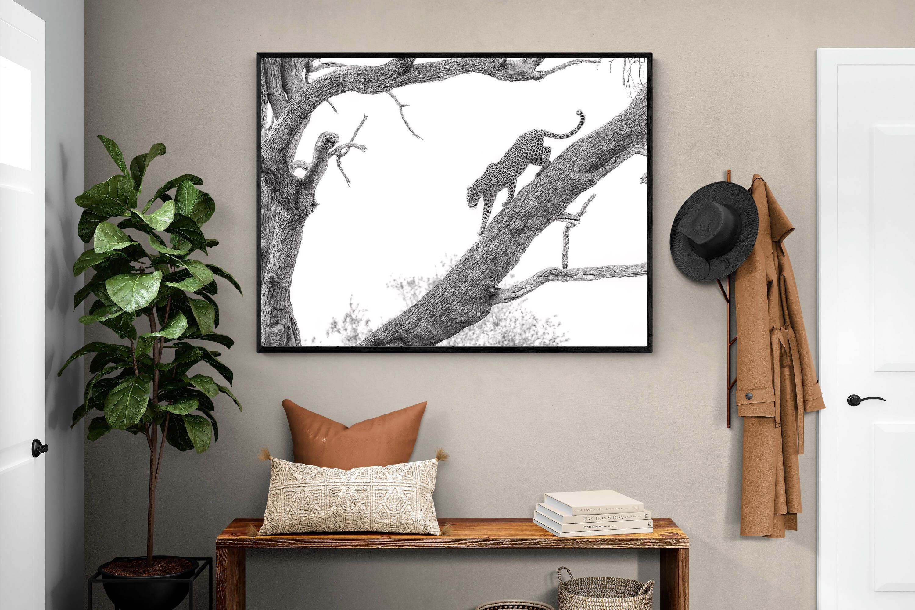 Pixalot Majestic Climber