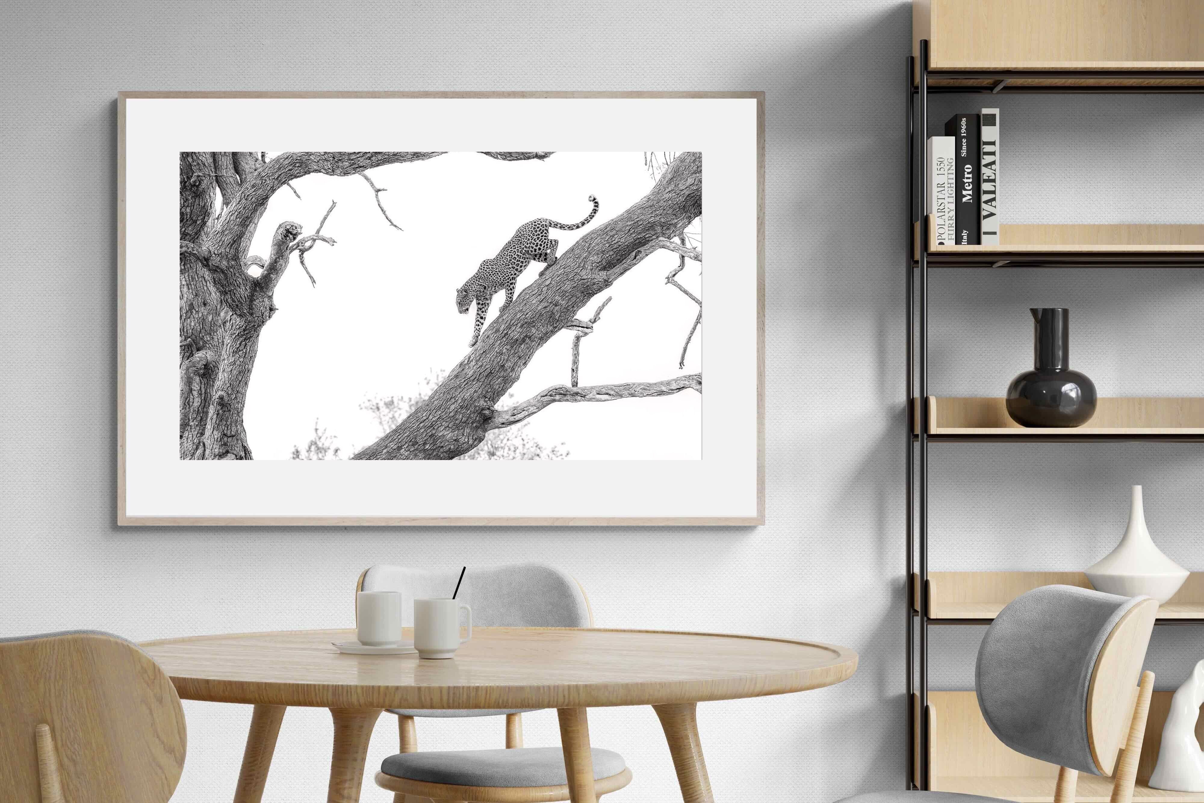 Pixalot Majestic Climber